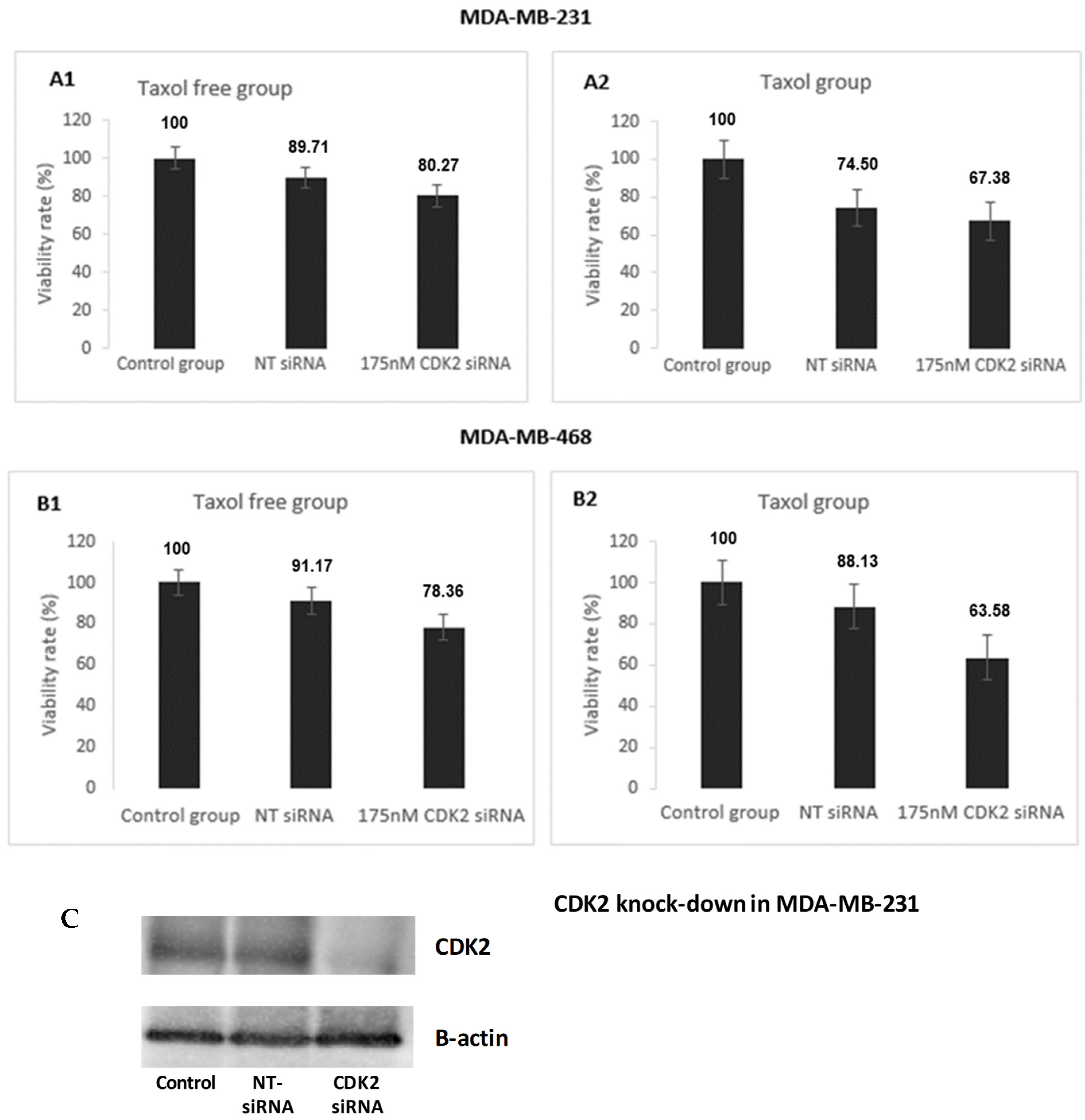 Cancers 14 00989 g008