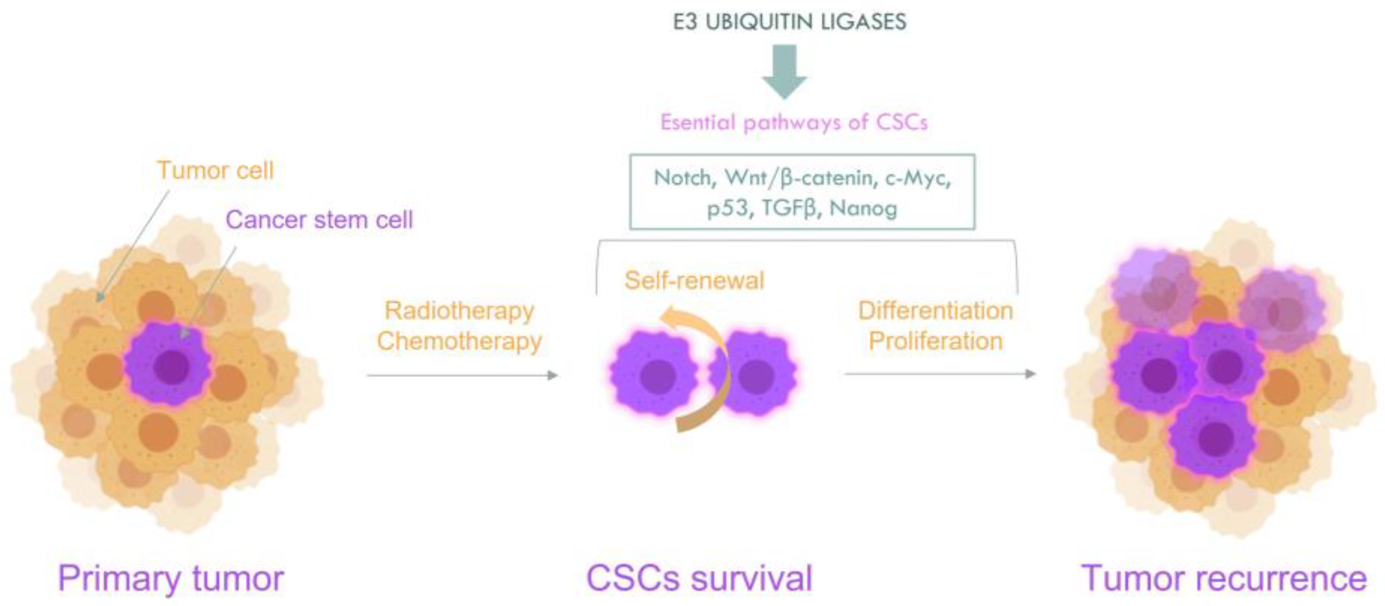 Cancers 14 00990 g001