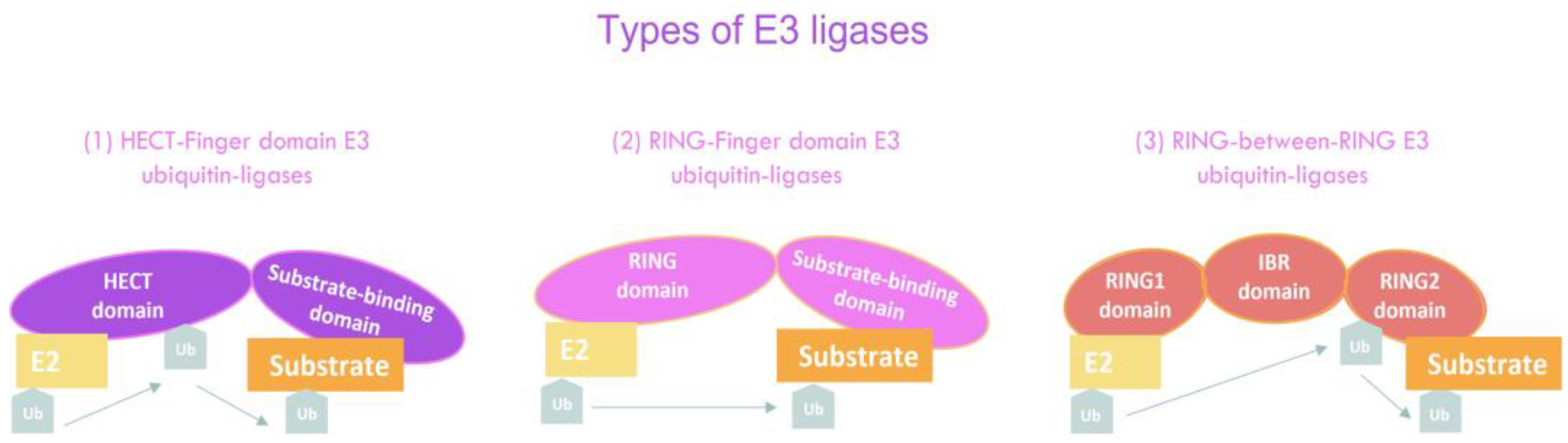 Cancers 14 00990 g002