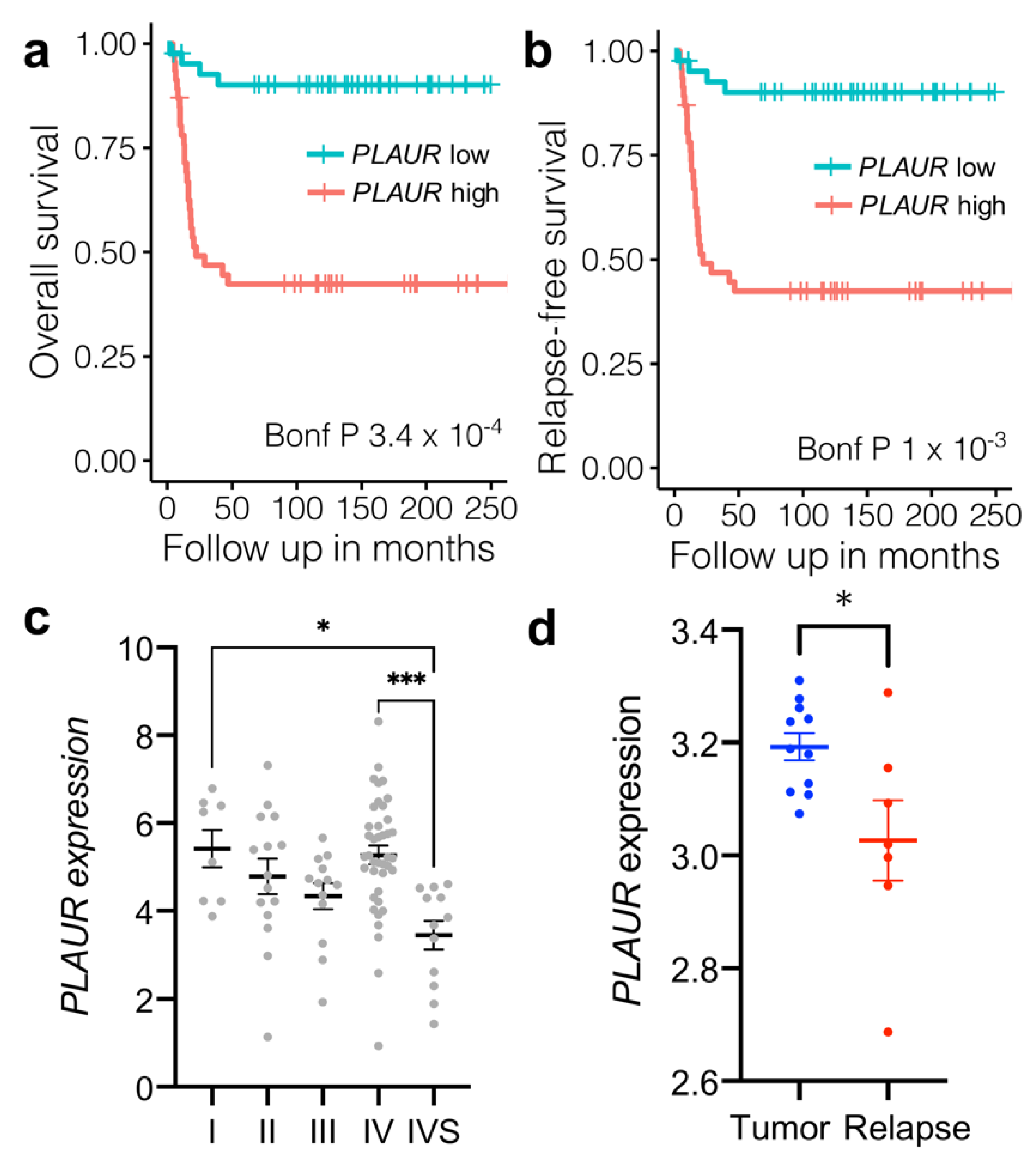 Cancers 14 00994 g001