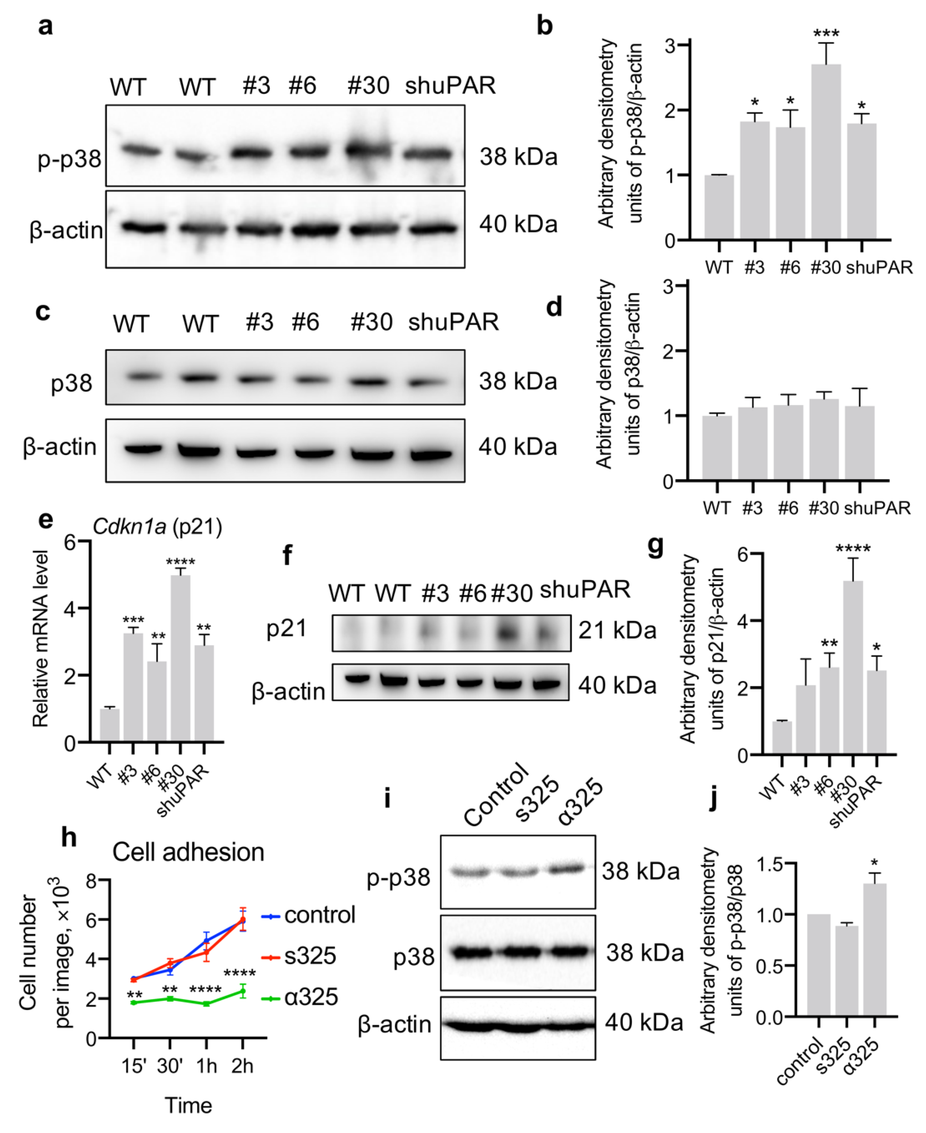 Cancers 14 00994 g003
