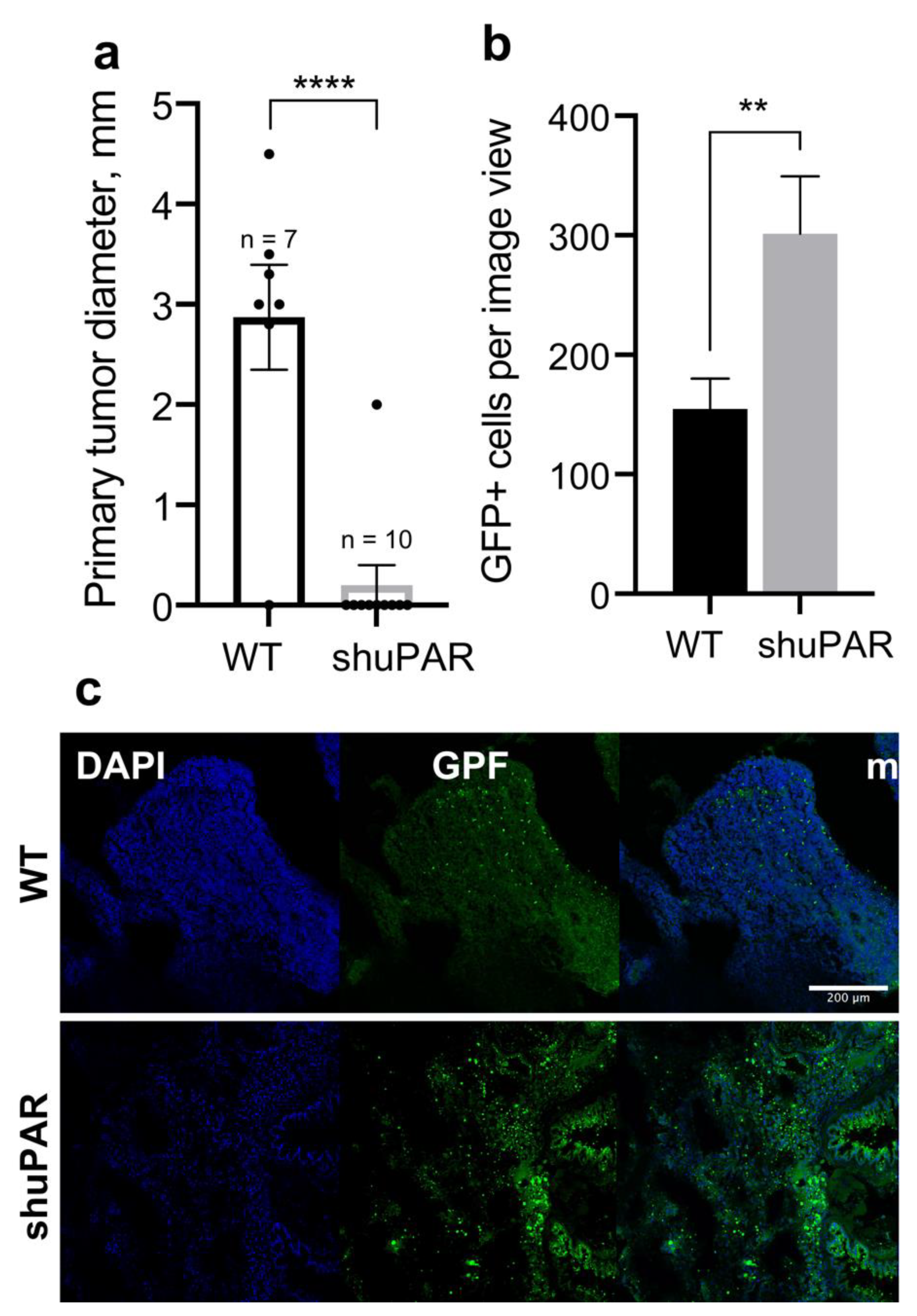Cancers 14 00994 g005