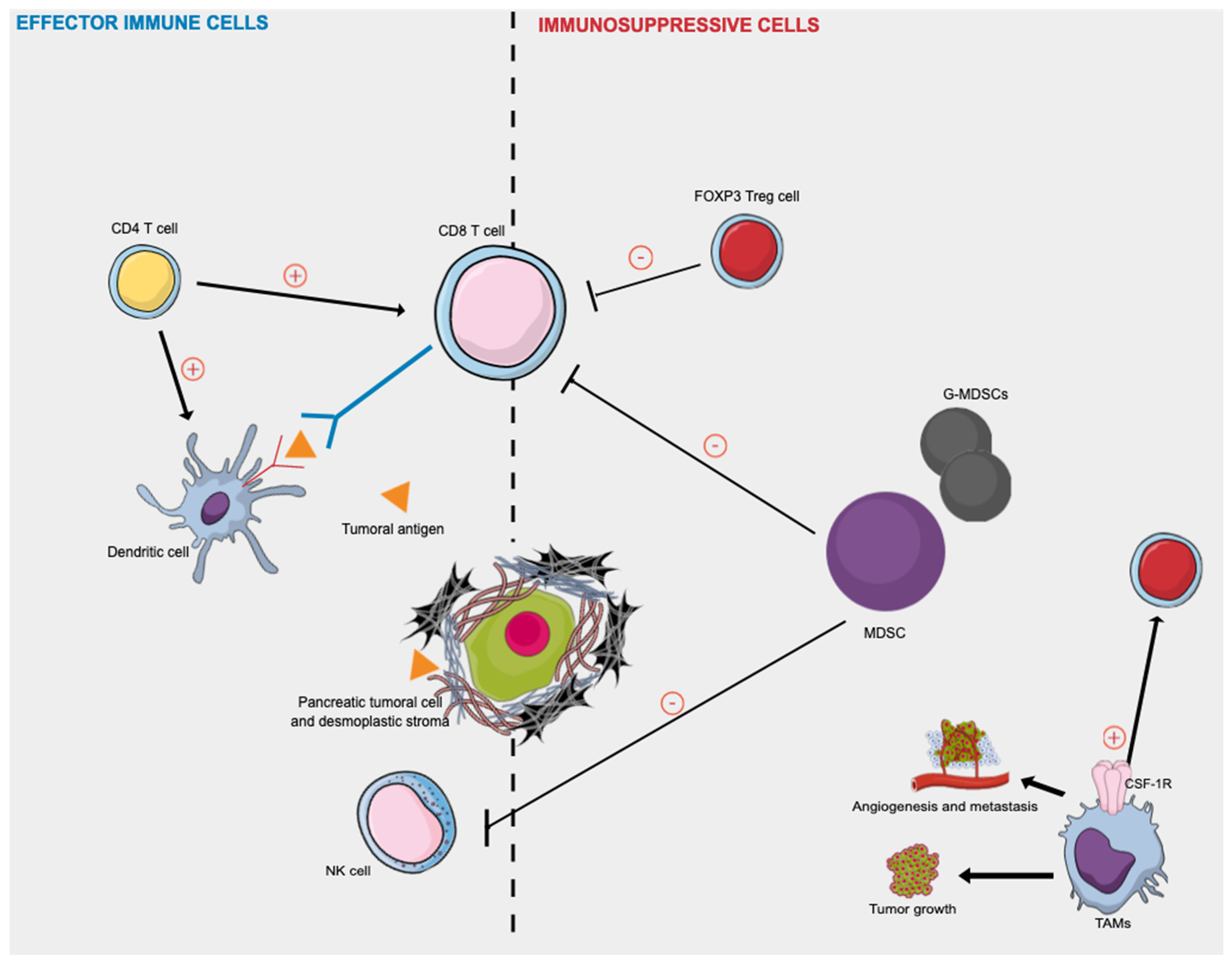 Cancers 14 00995 g002
