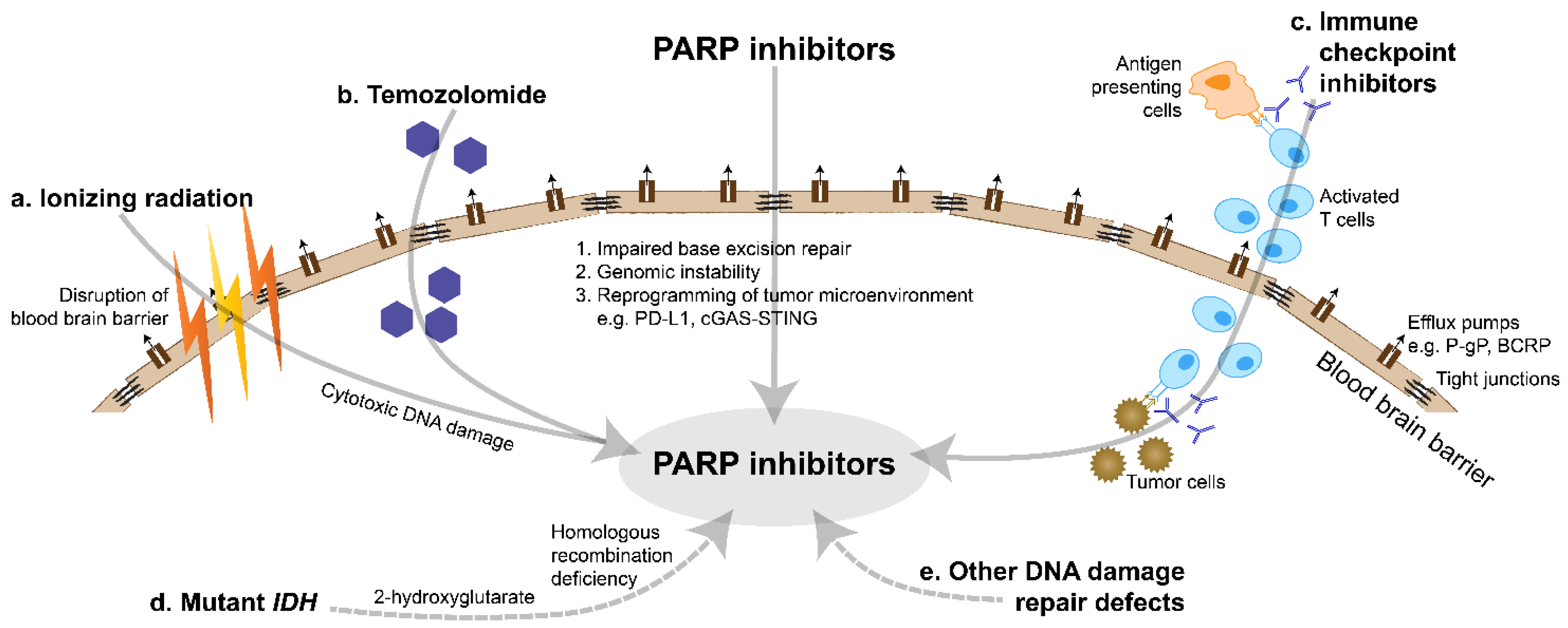 Cancers 14 01003 g002
