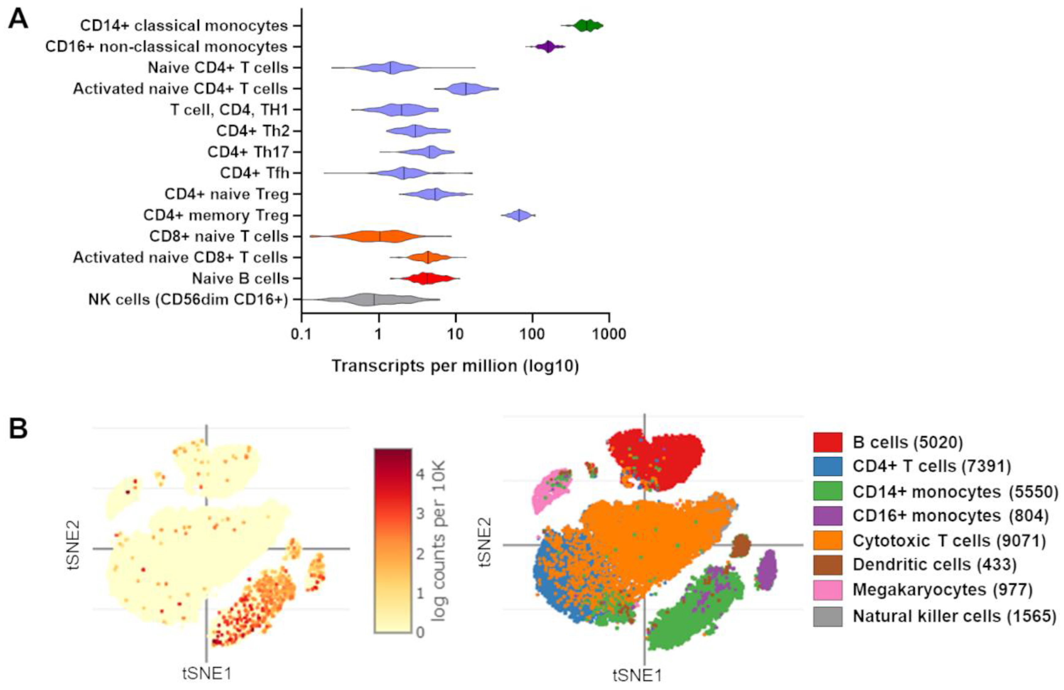 Cancers 14 01011 g002