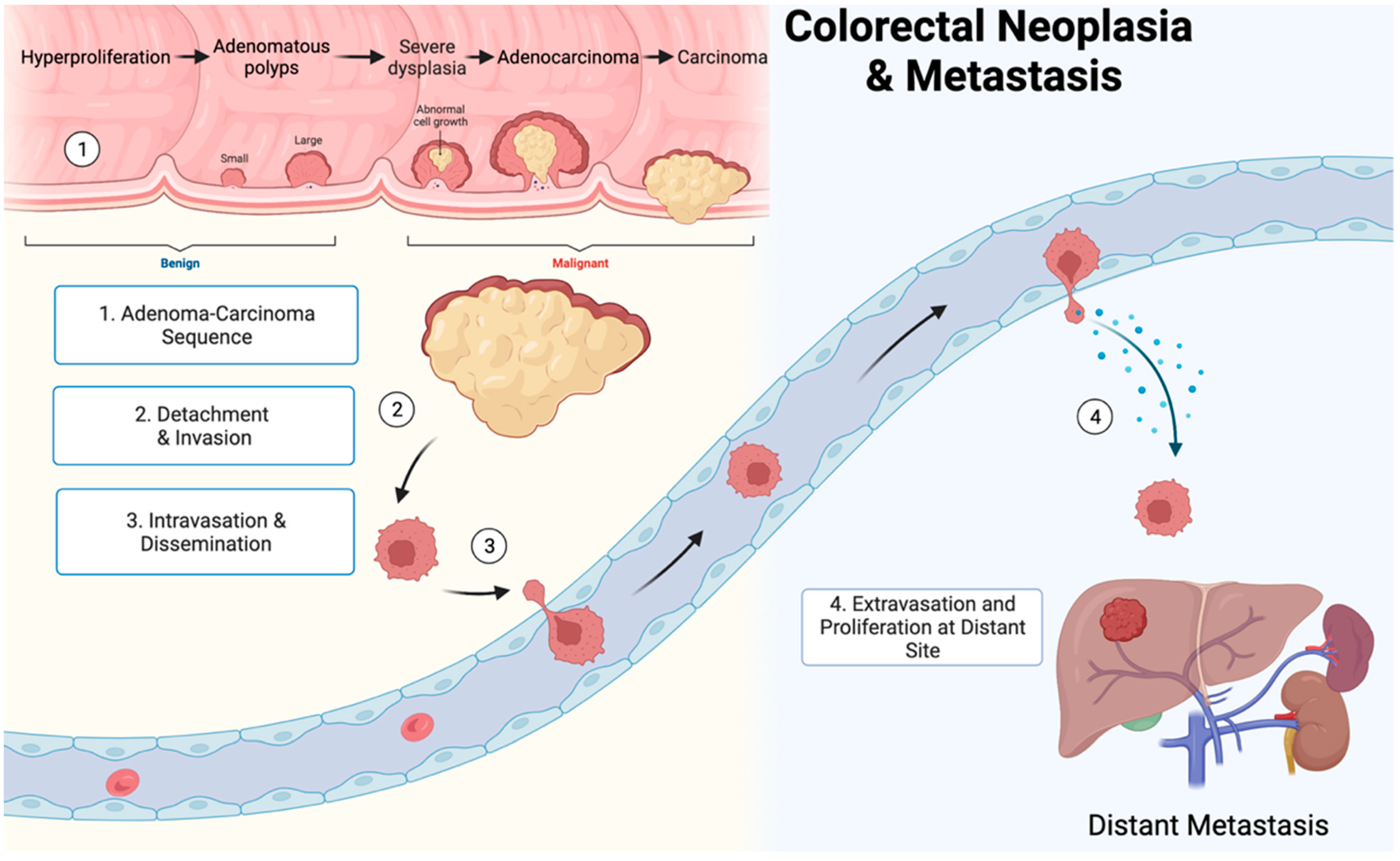 Cancers 14 01019 g003