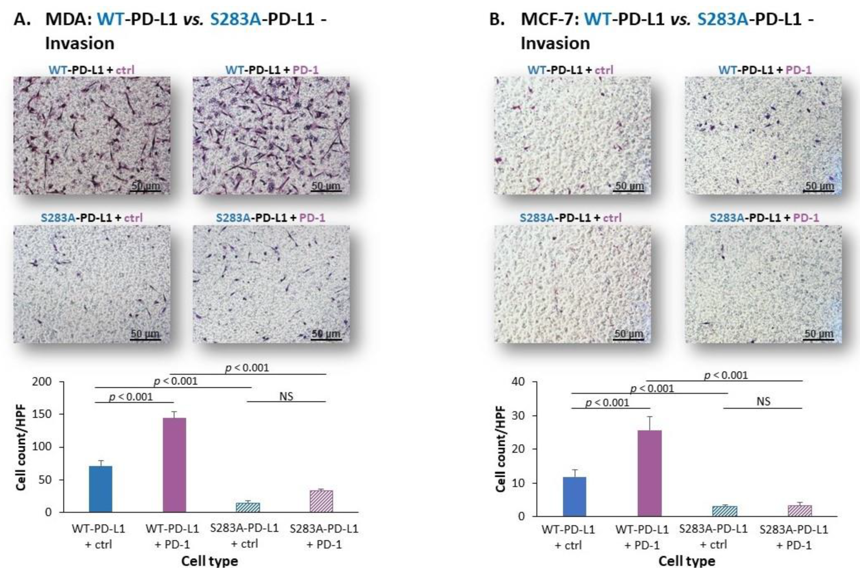 Cancers 14 01042 g007