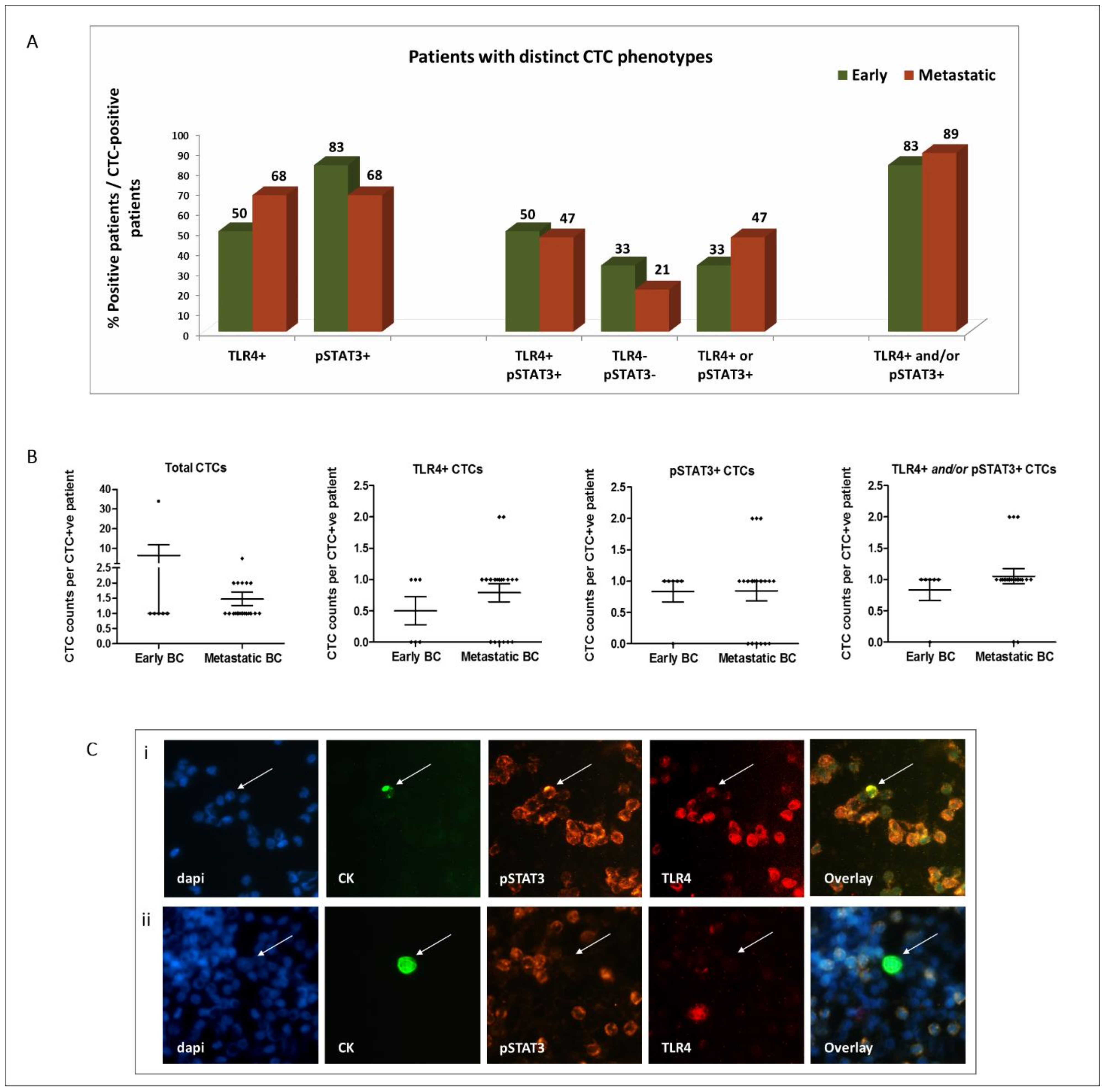 Cancers 14 01053 g001 Cancers 14 01053 g001
