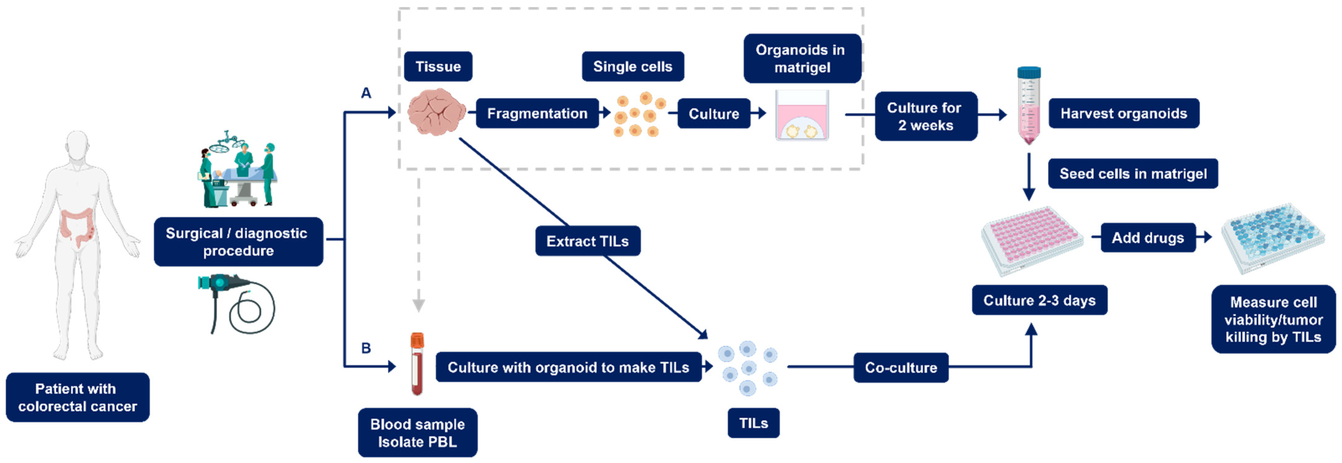 Cancers 14 01069 g001