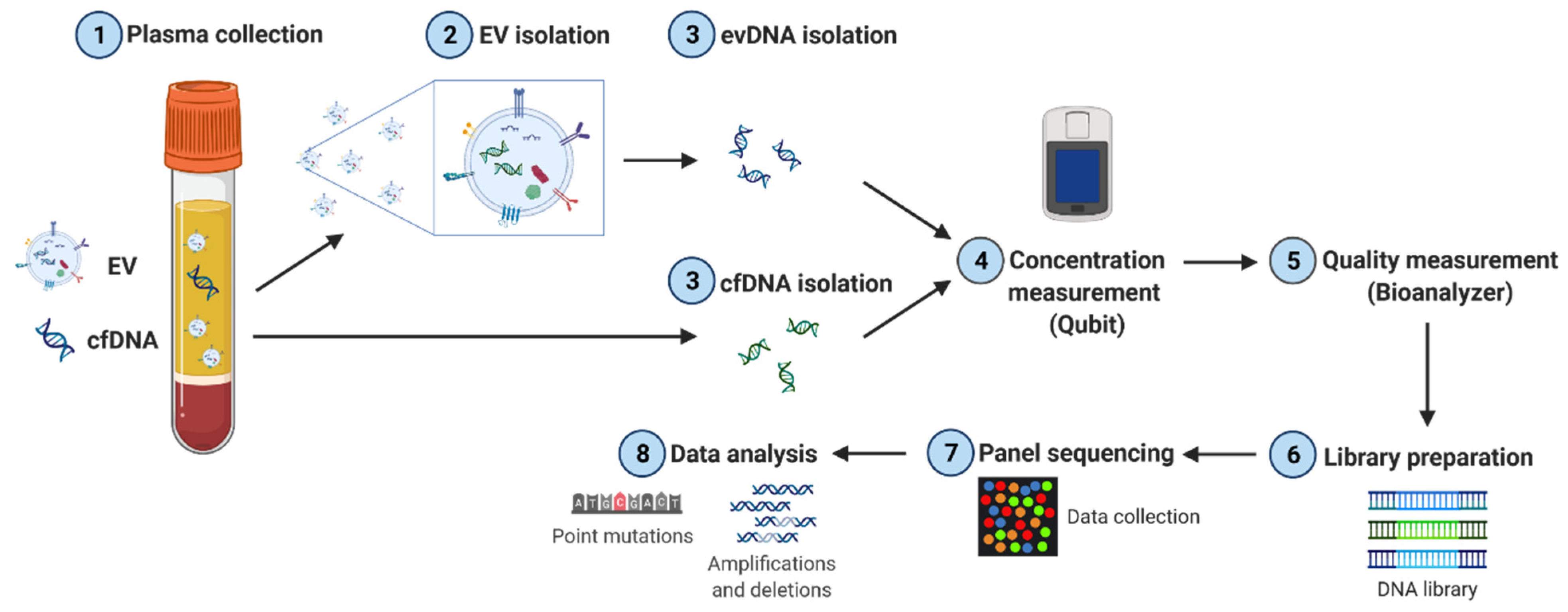 Cancers 14 01074 g001