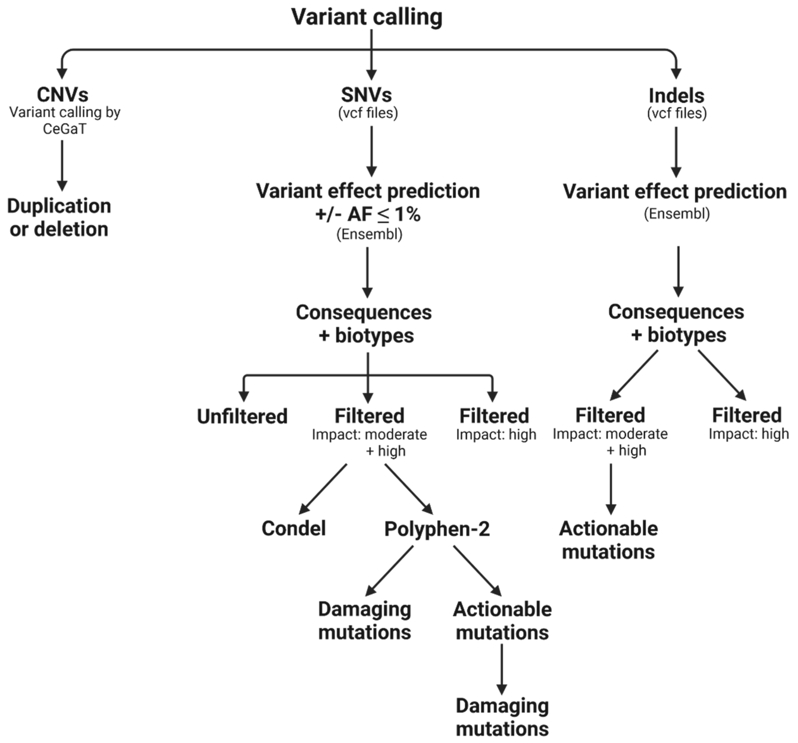 Cancers 14 01074 g002