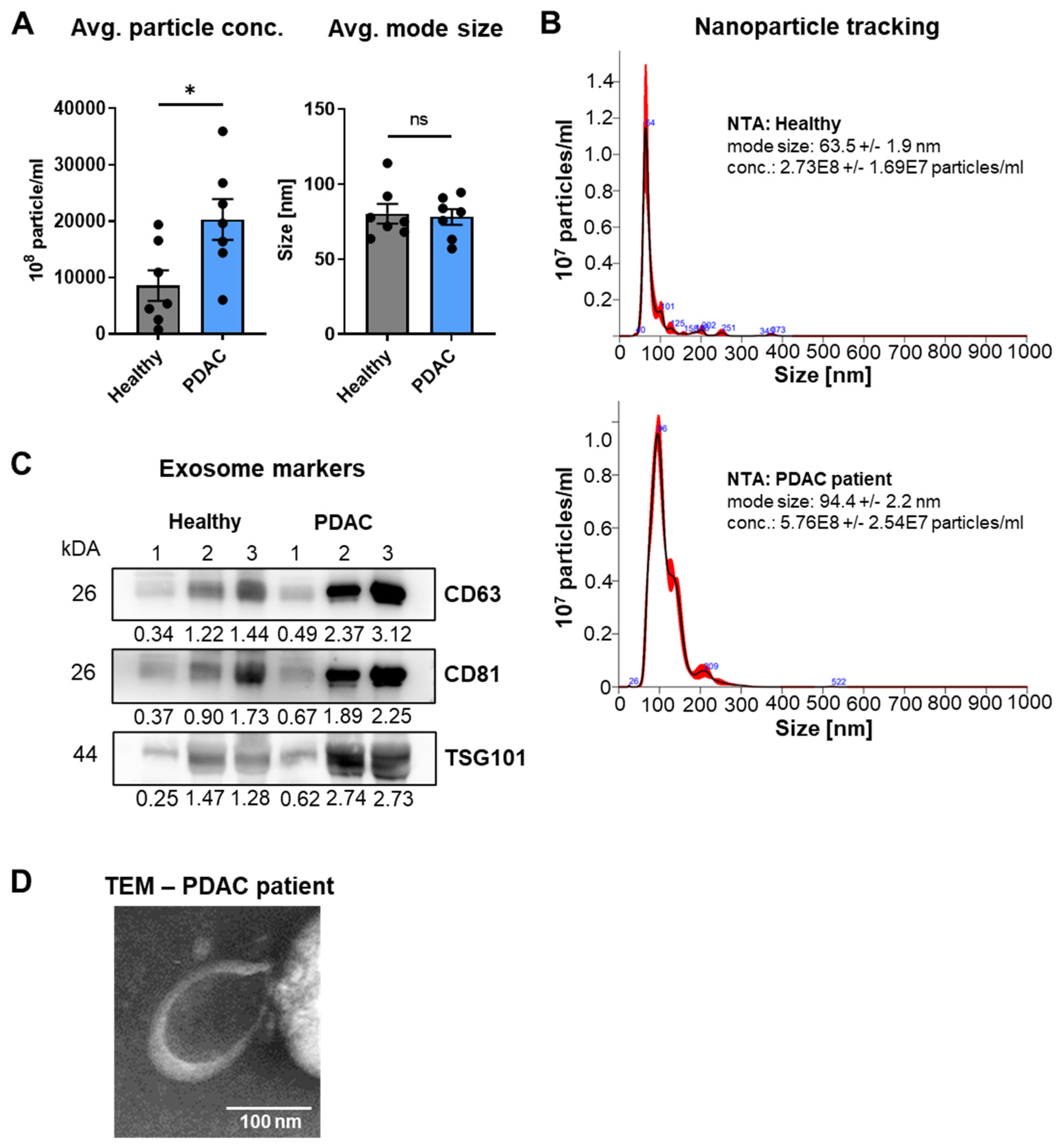 Cancers 14 01074 g003