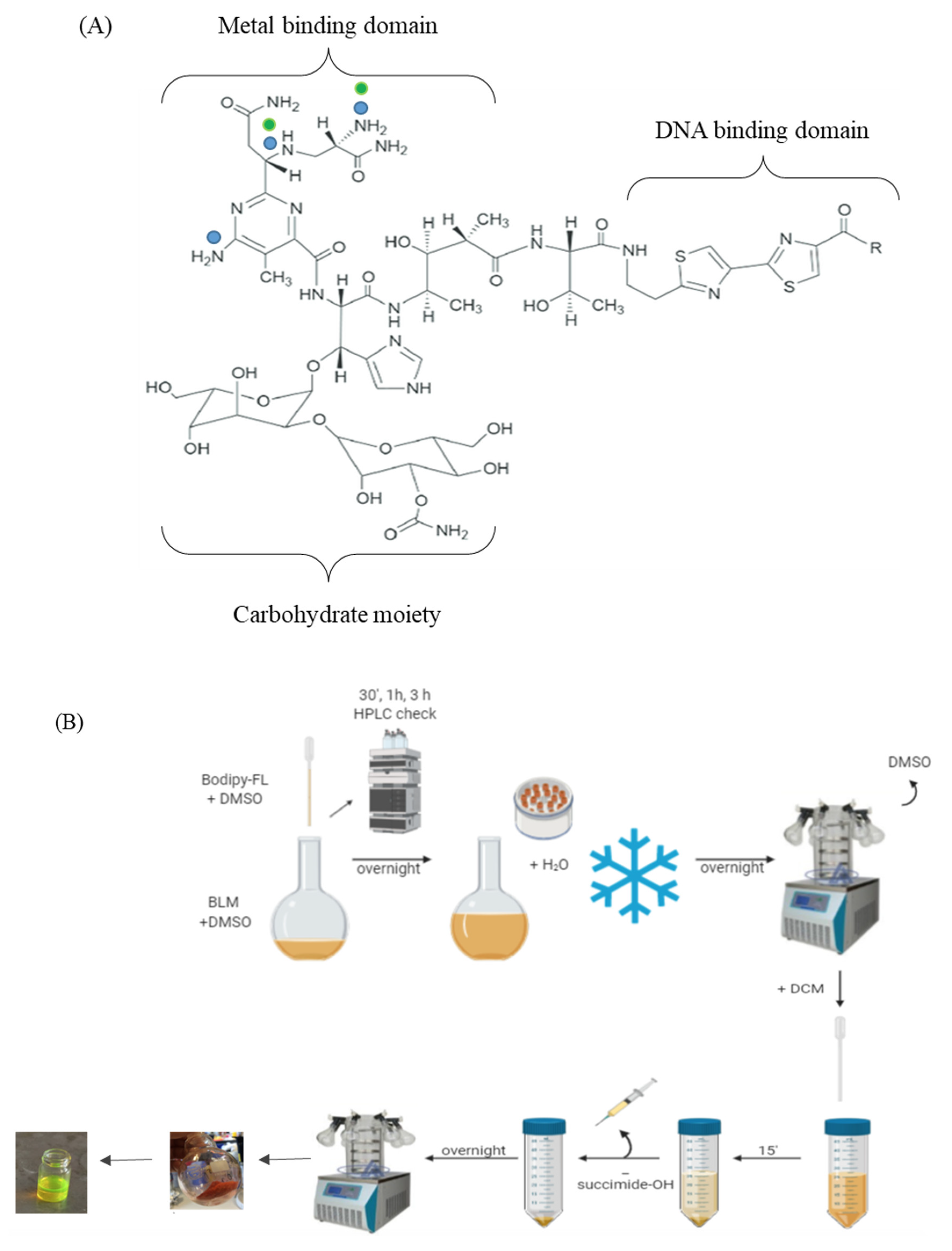 Cancers 14 01083 g001a