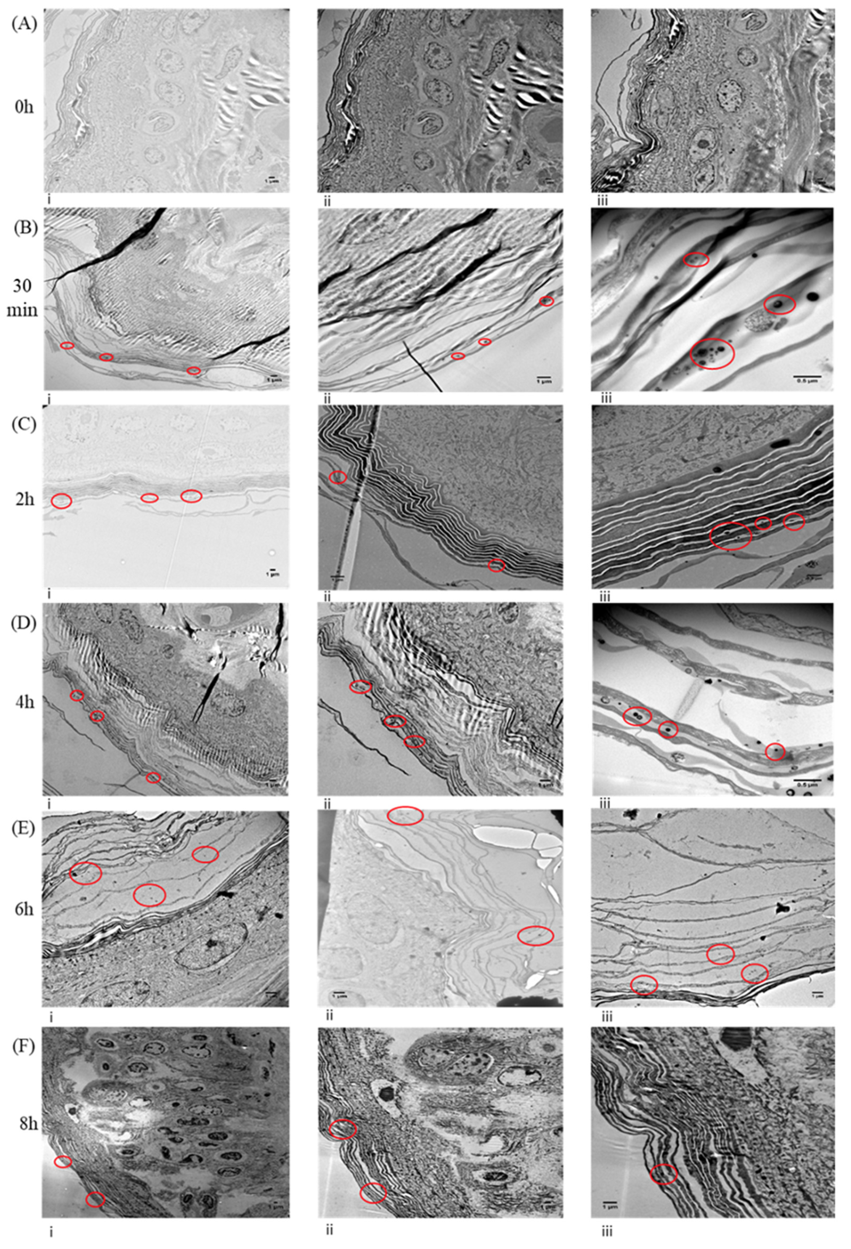 Cancers 14 01083 g002