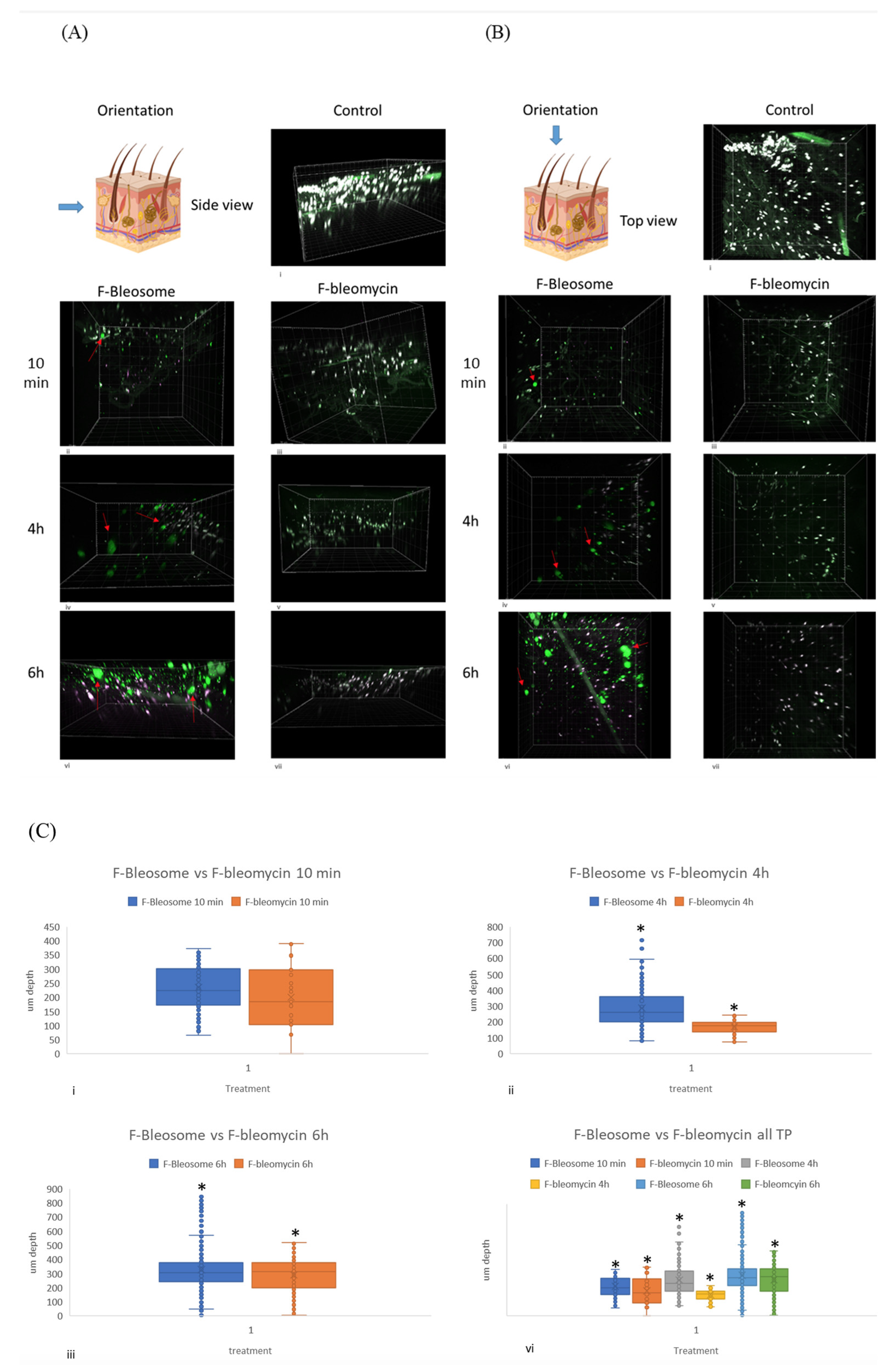 Cancers 14 01083 g003