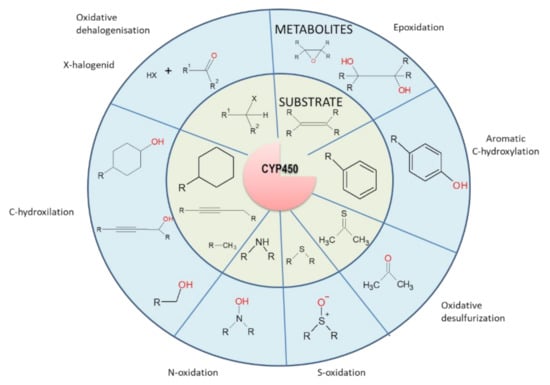 Cancers 14 01090 g002