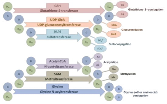 Cancers 14 01090 g003