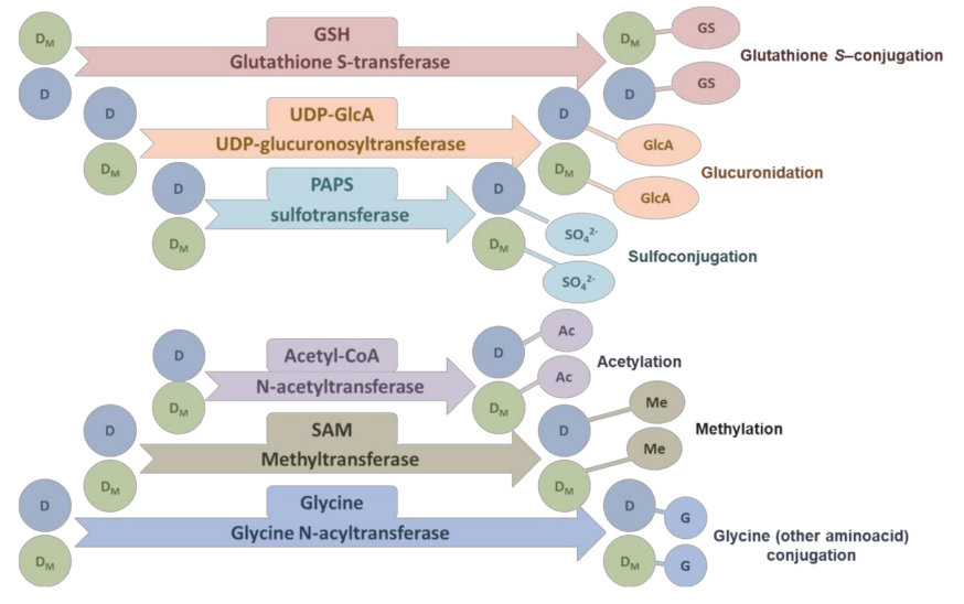 Cancers 14 01090 g003