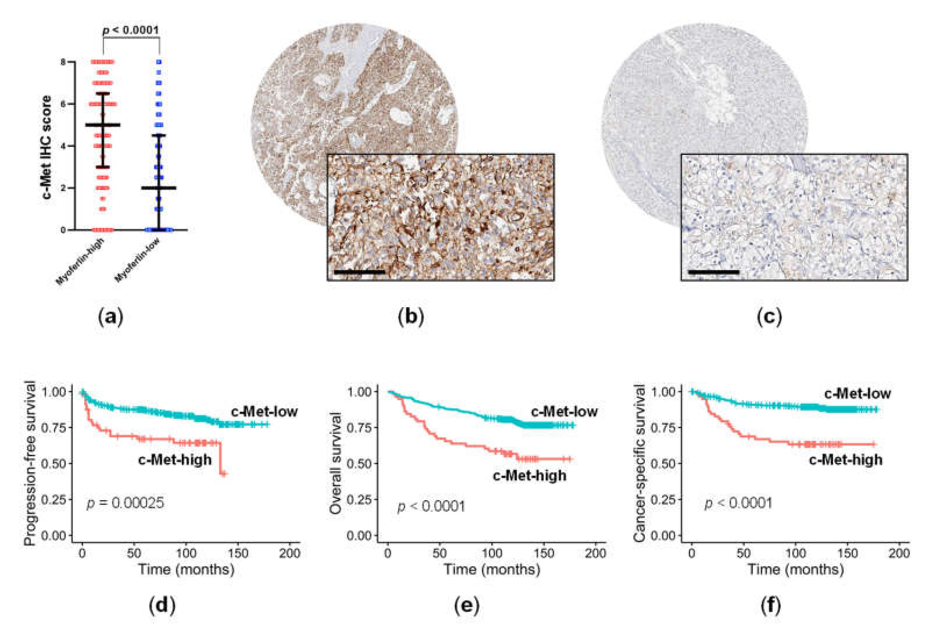 Cancers 14 01095 g002