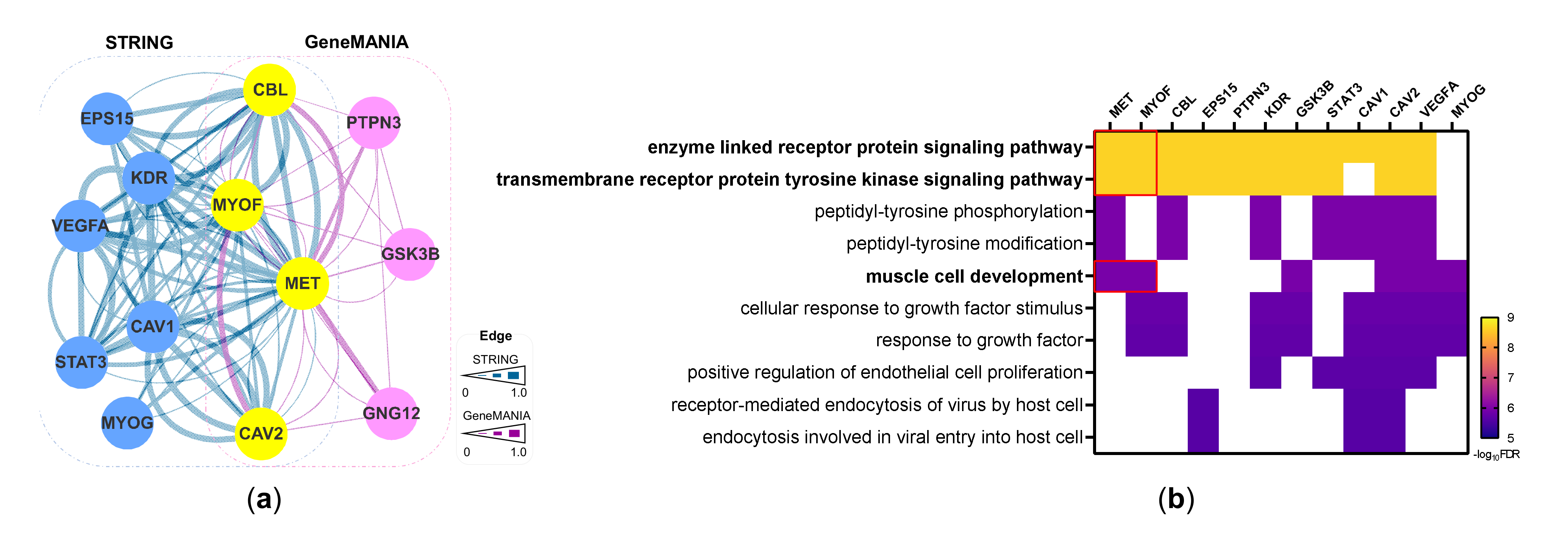 Cancers 14 01095 g004
