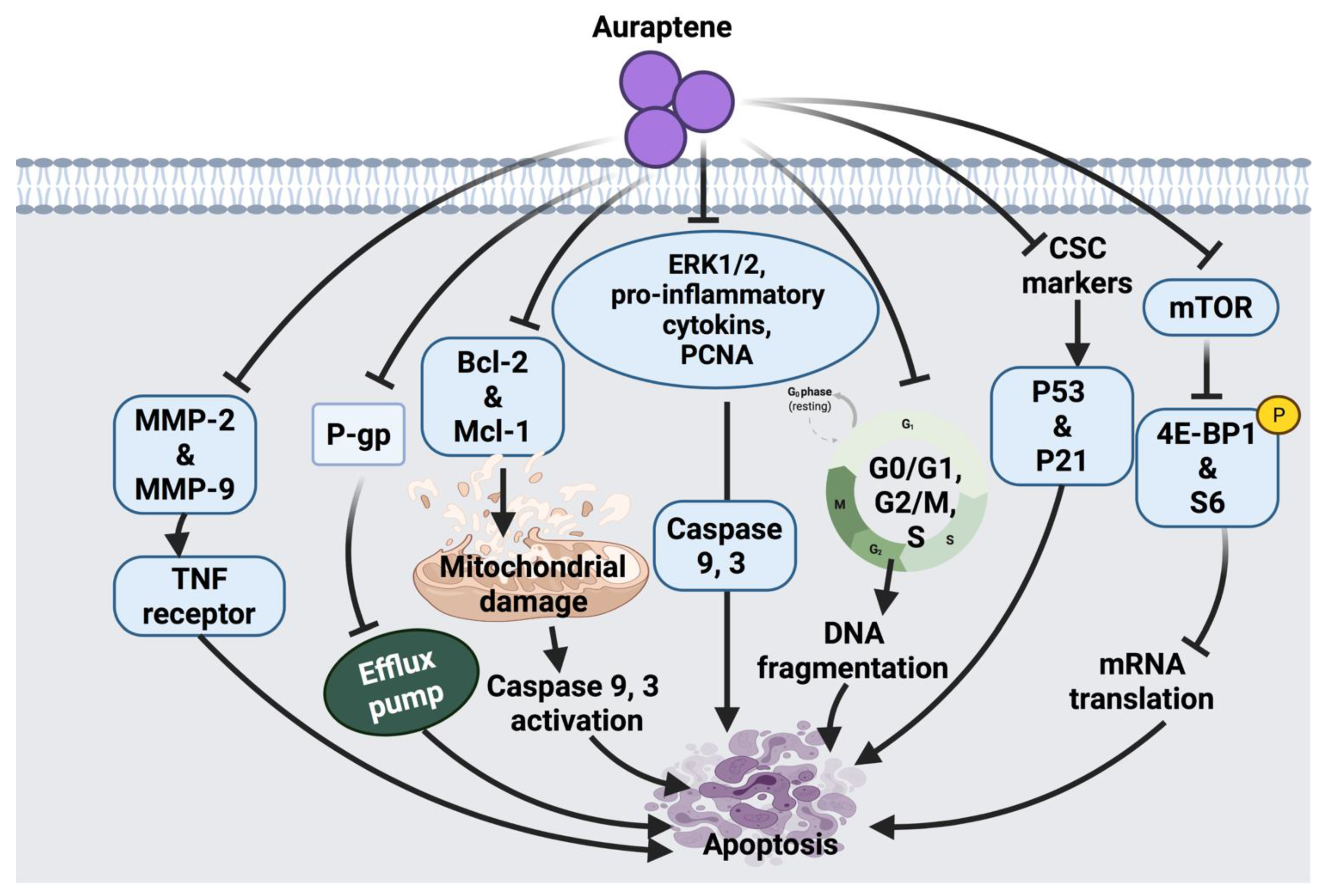 Cancers 14 01100 g003 Cancers 14 01100 g003