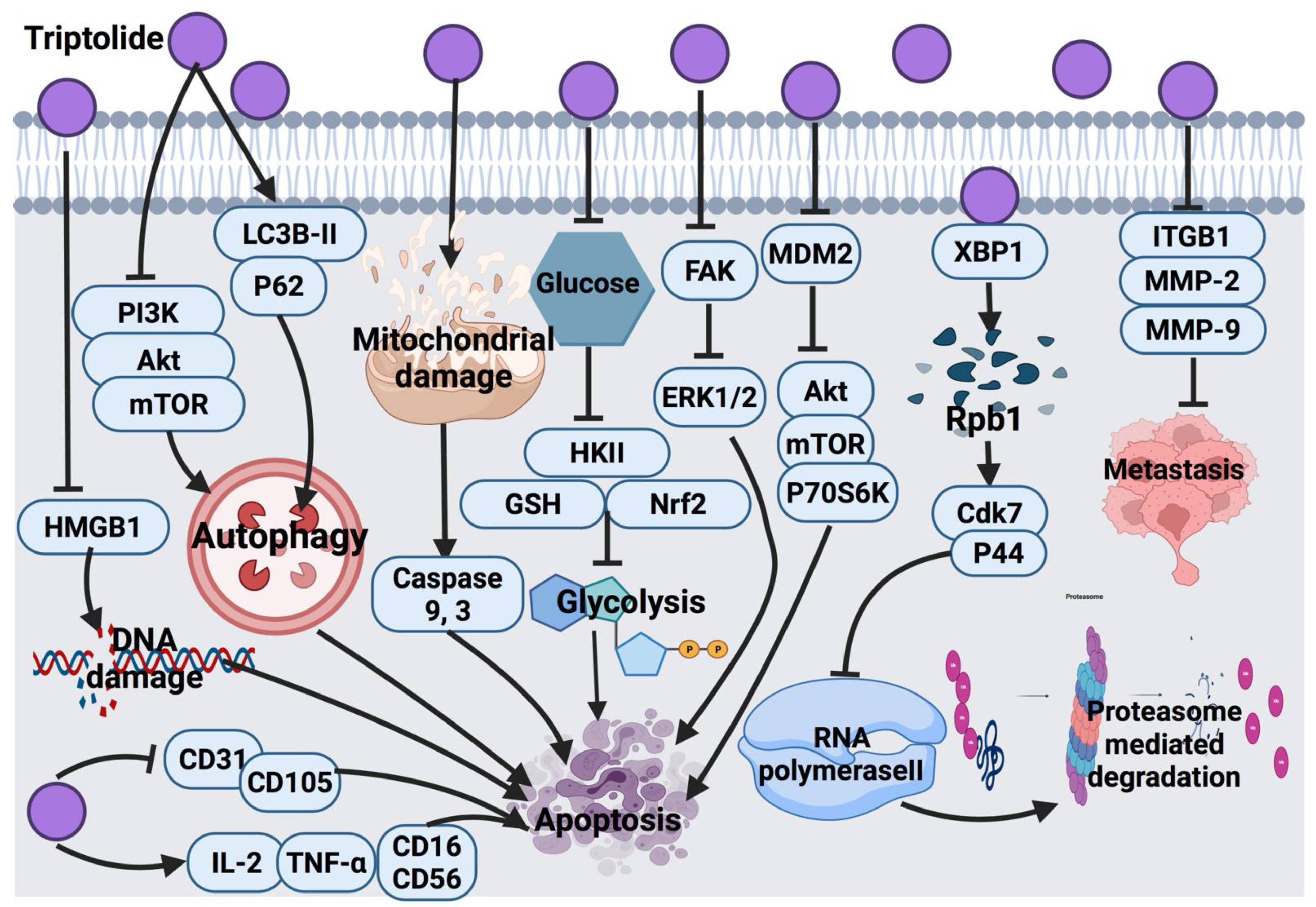 Cancers 14 01100 g010 Cancers 14 01100 g010