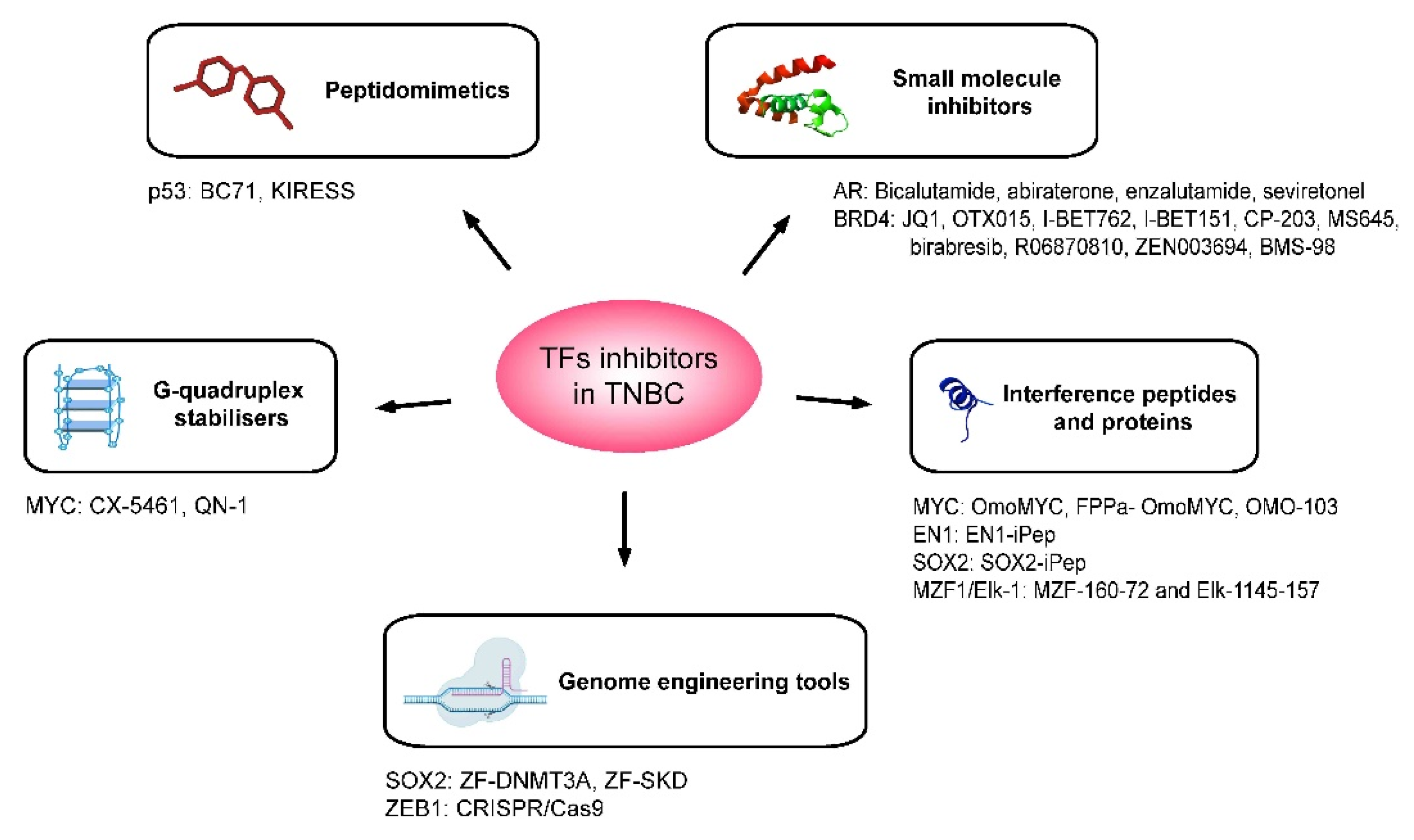 Cancers 14 01101 g002