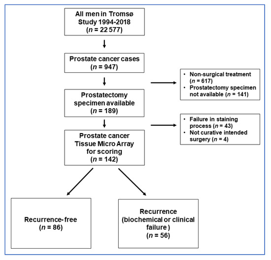 Cancers 14 01142 g0a1 550