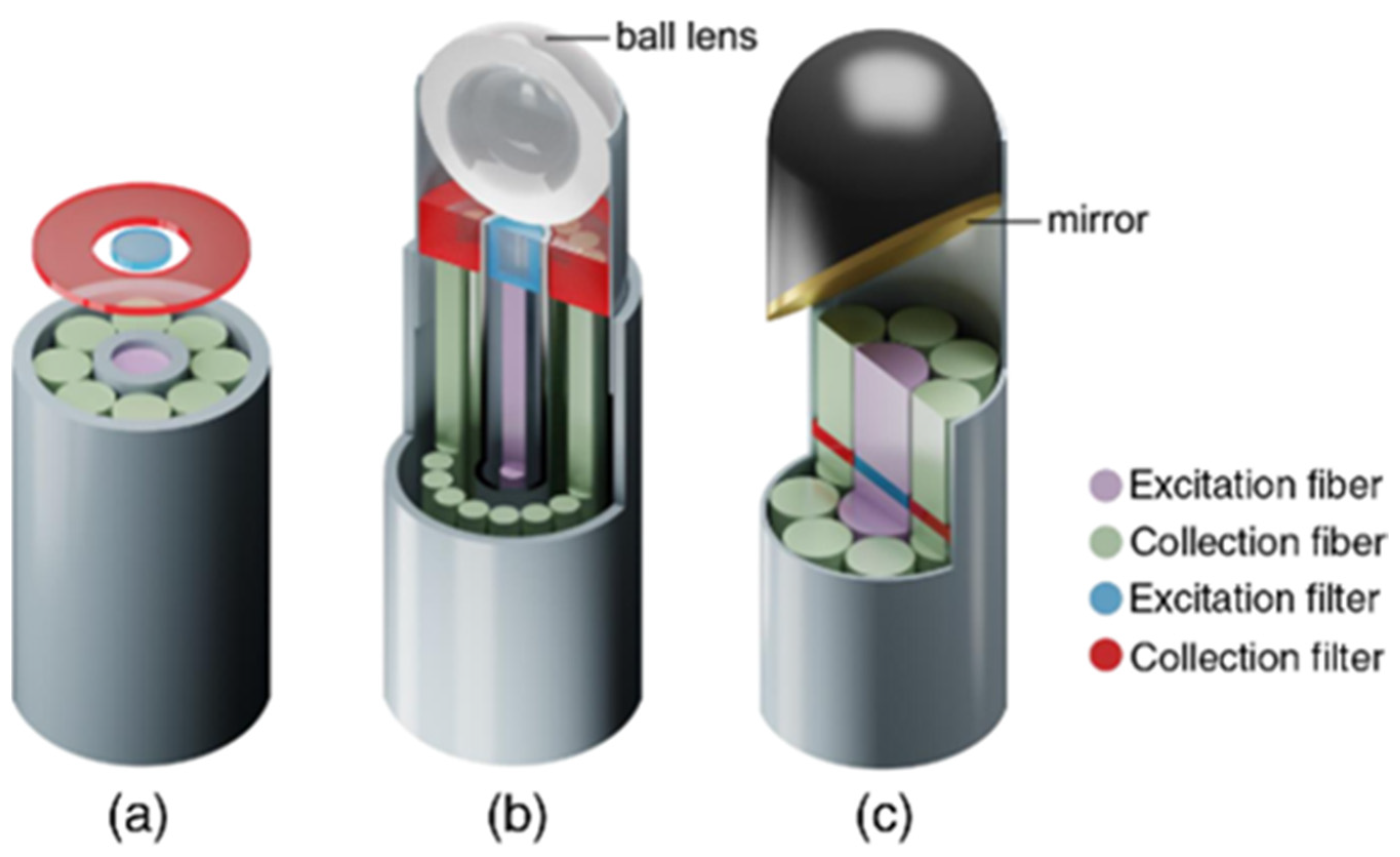 Cancers 14 01144 g004 Cancers 14 01144 g004