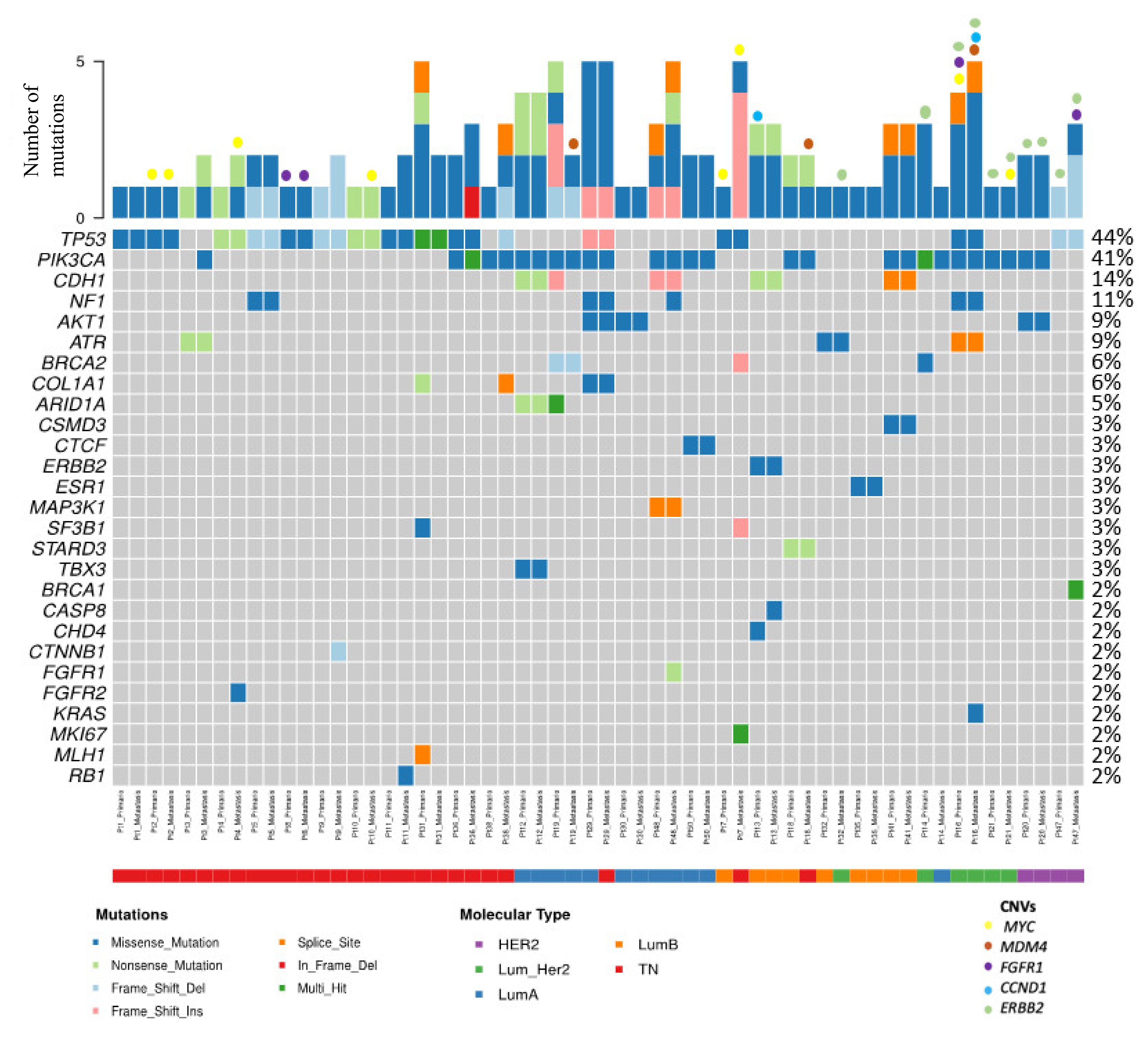 Cancers 14 01151 g001