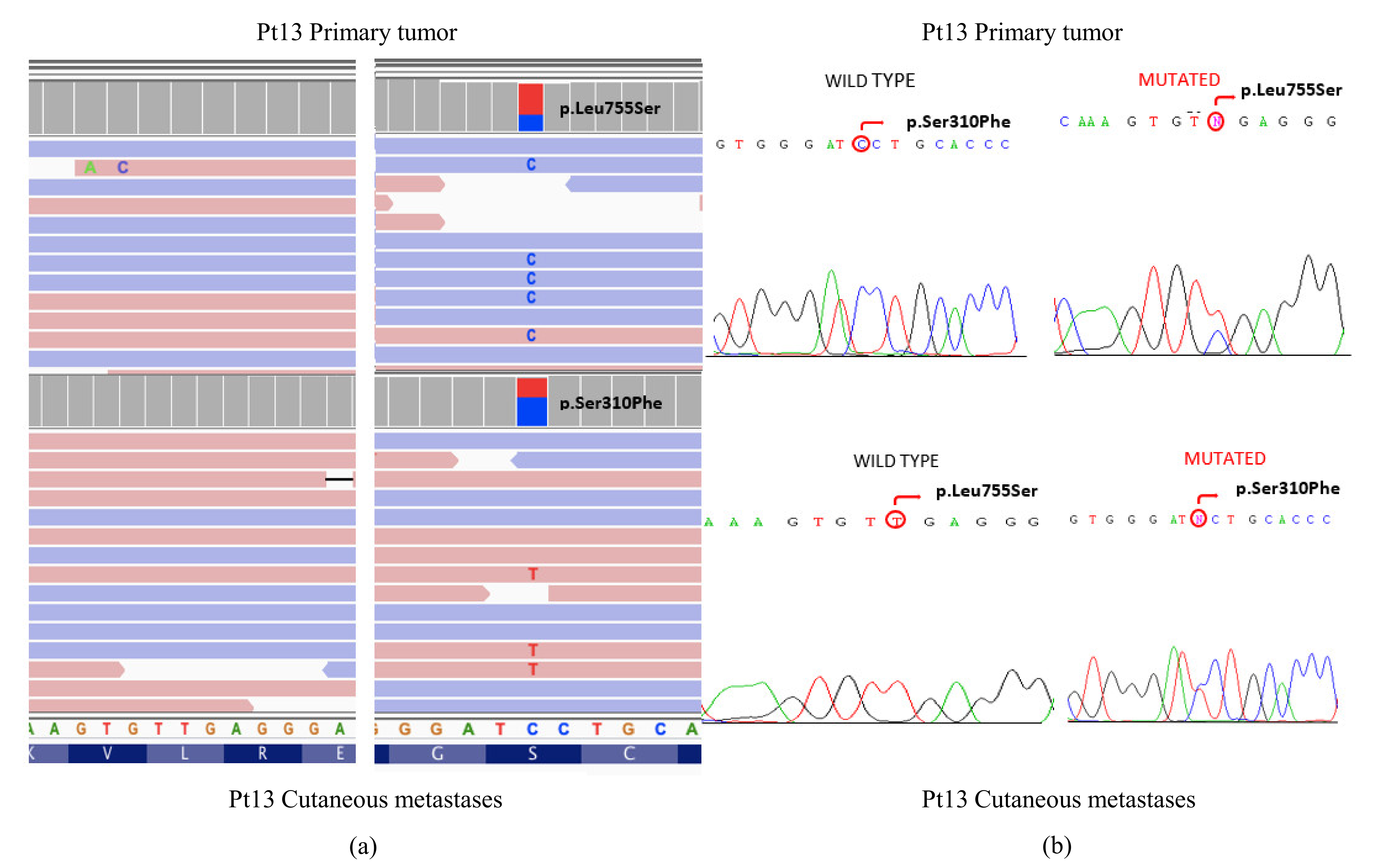 Cancers 14 01151 g003