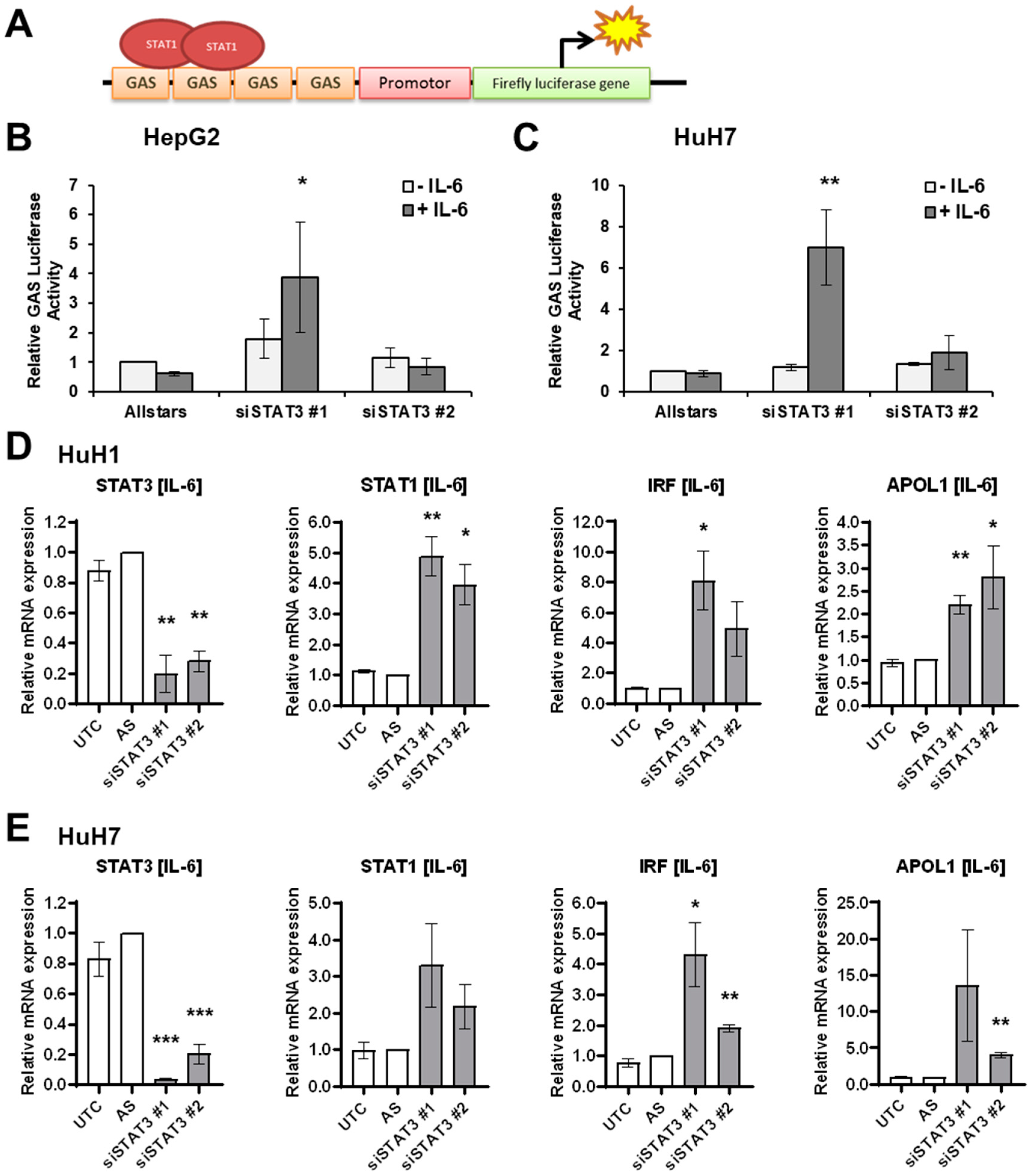 Cancers 14 01154 g003