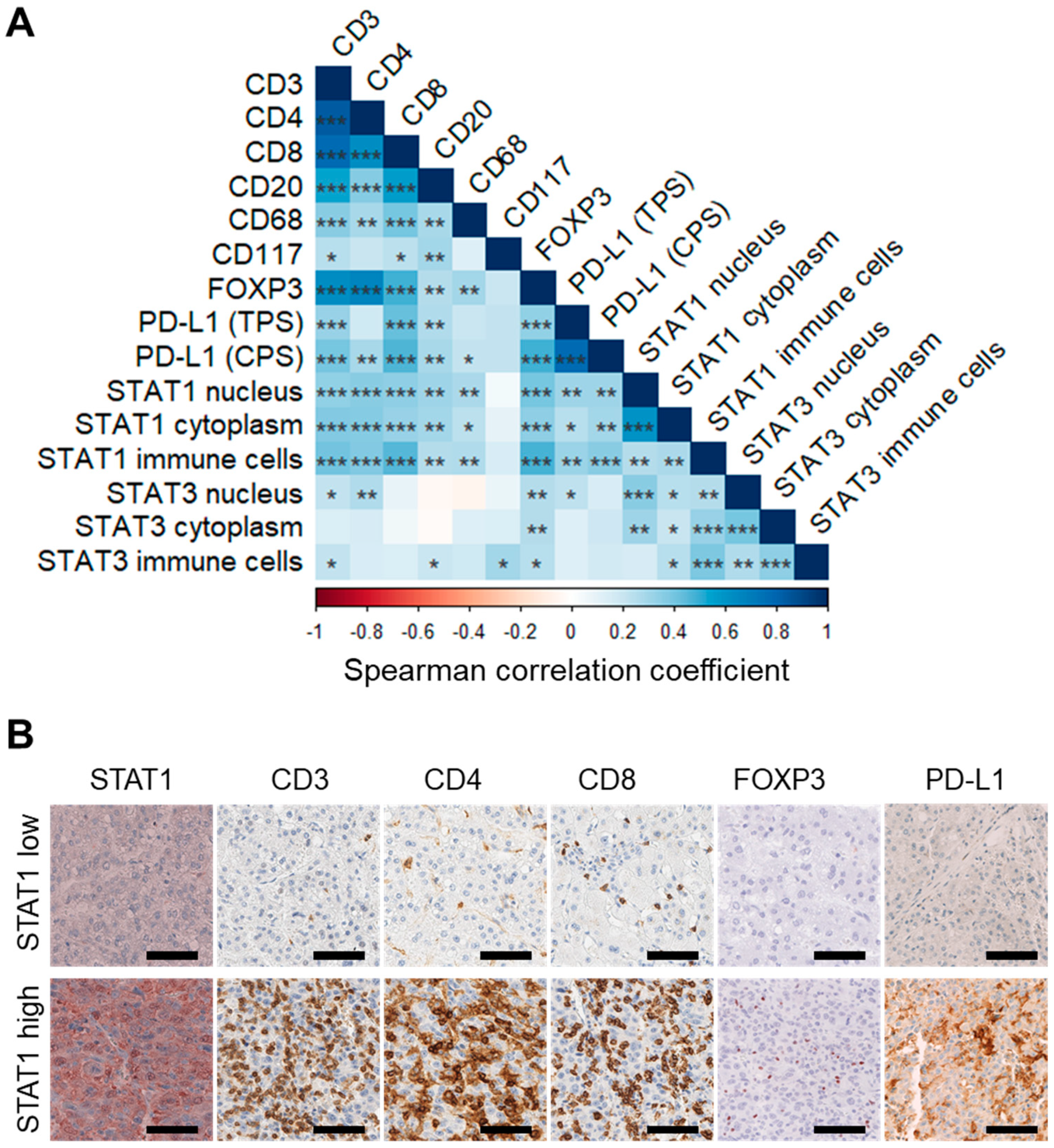 Cancers 14 01154 g004