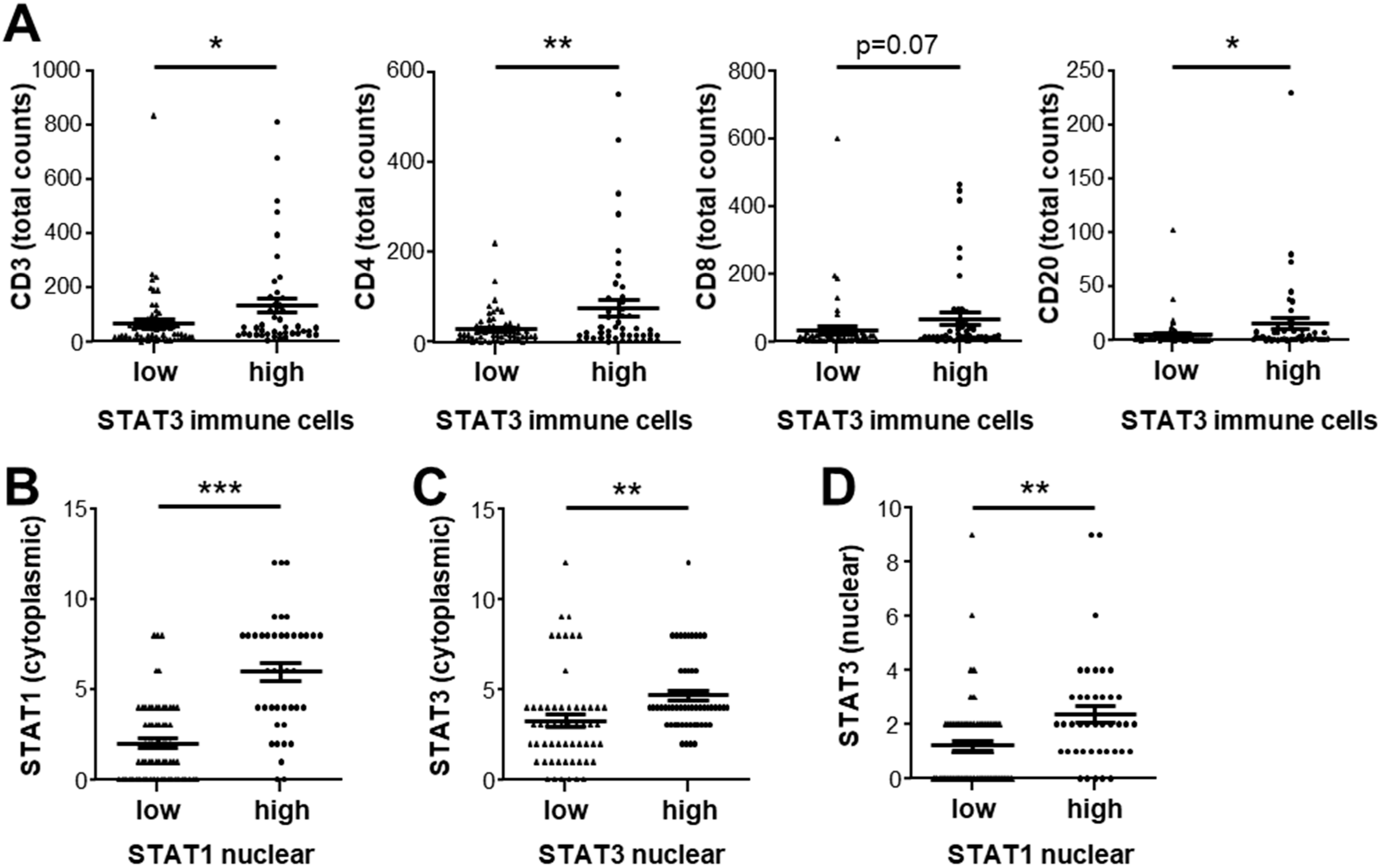 Cancers 14 01154 g006