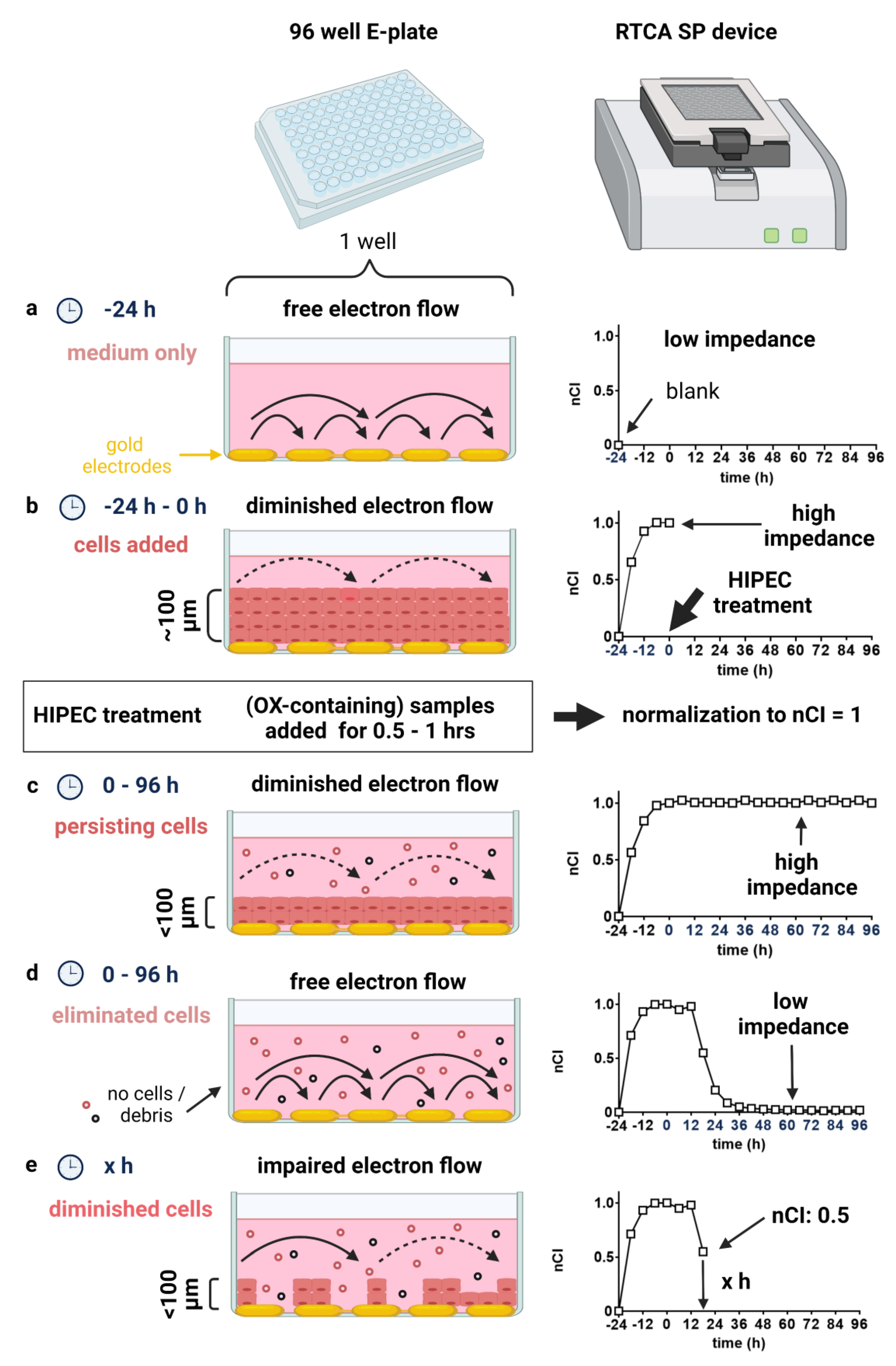 Cancers 14 01158 g001