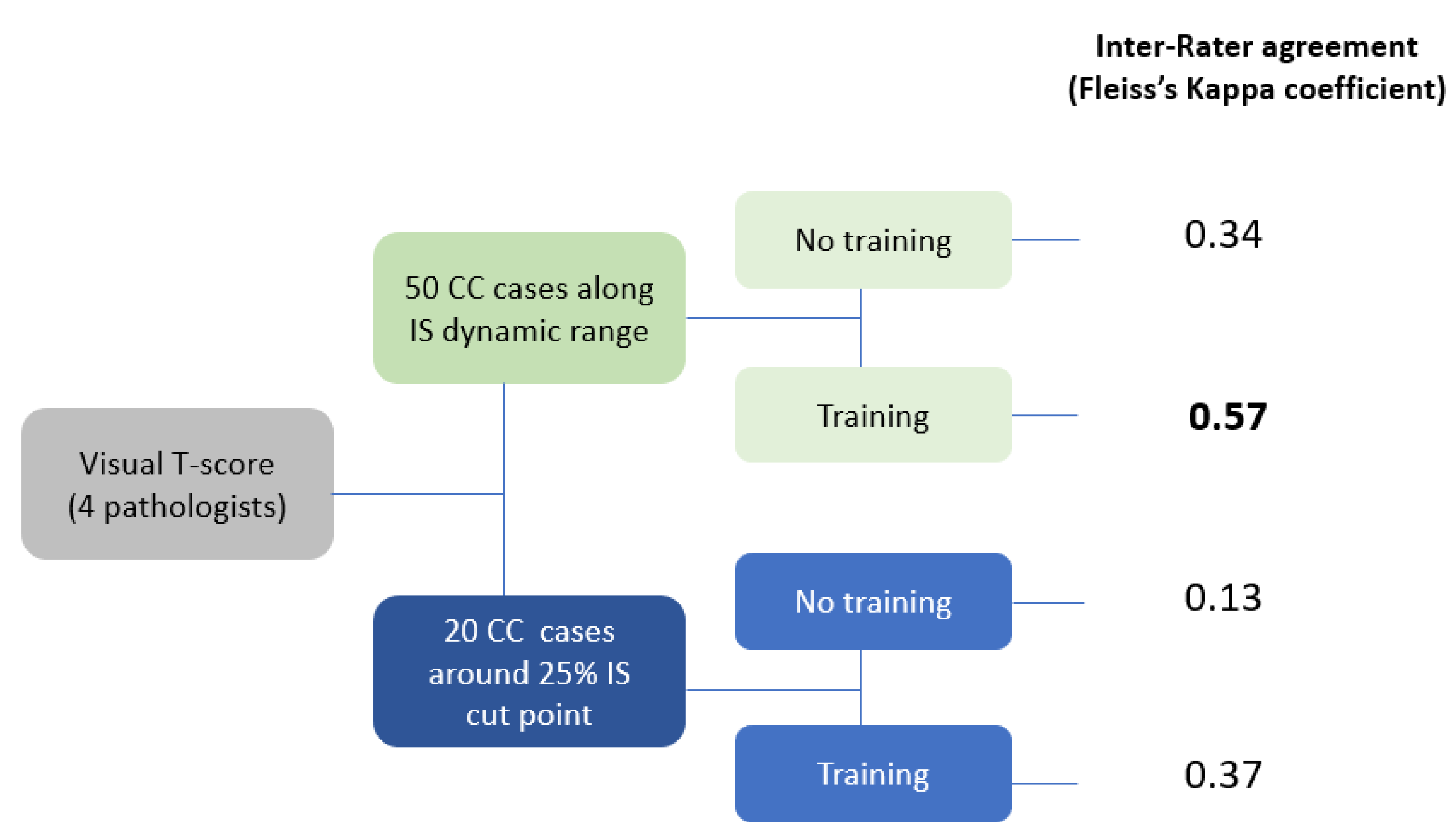 Cancers 14 01170 g003