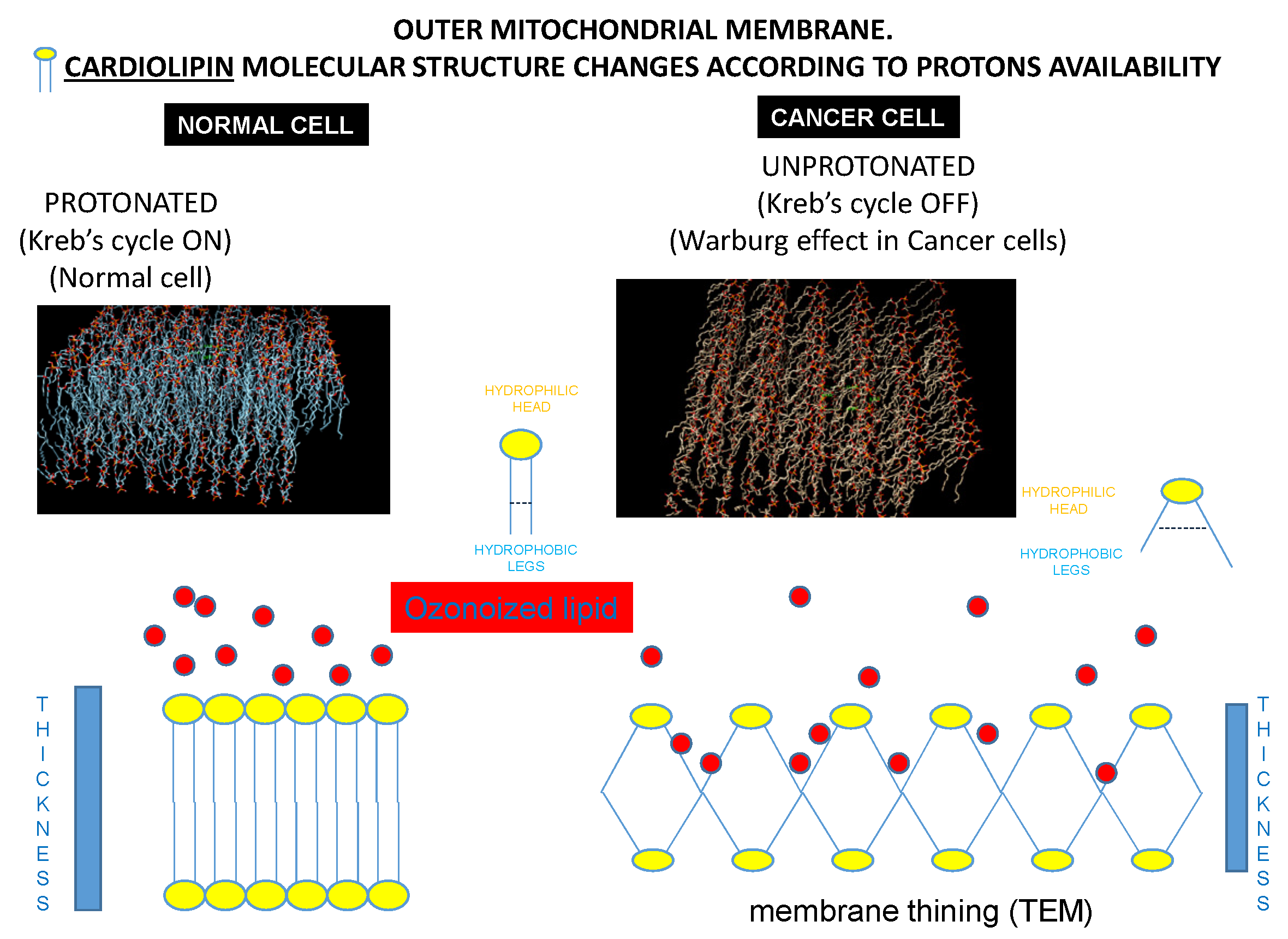 Cancers 14 01174 g009
