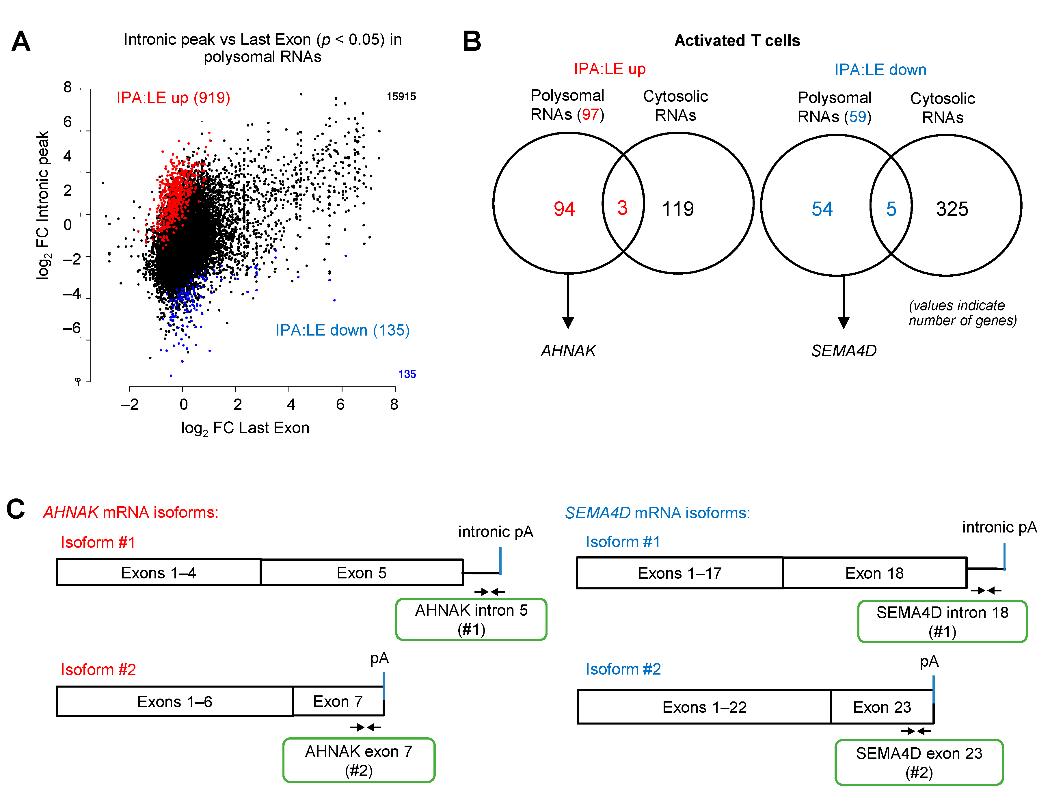 Cancers 14 01177 g004a