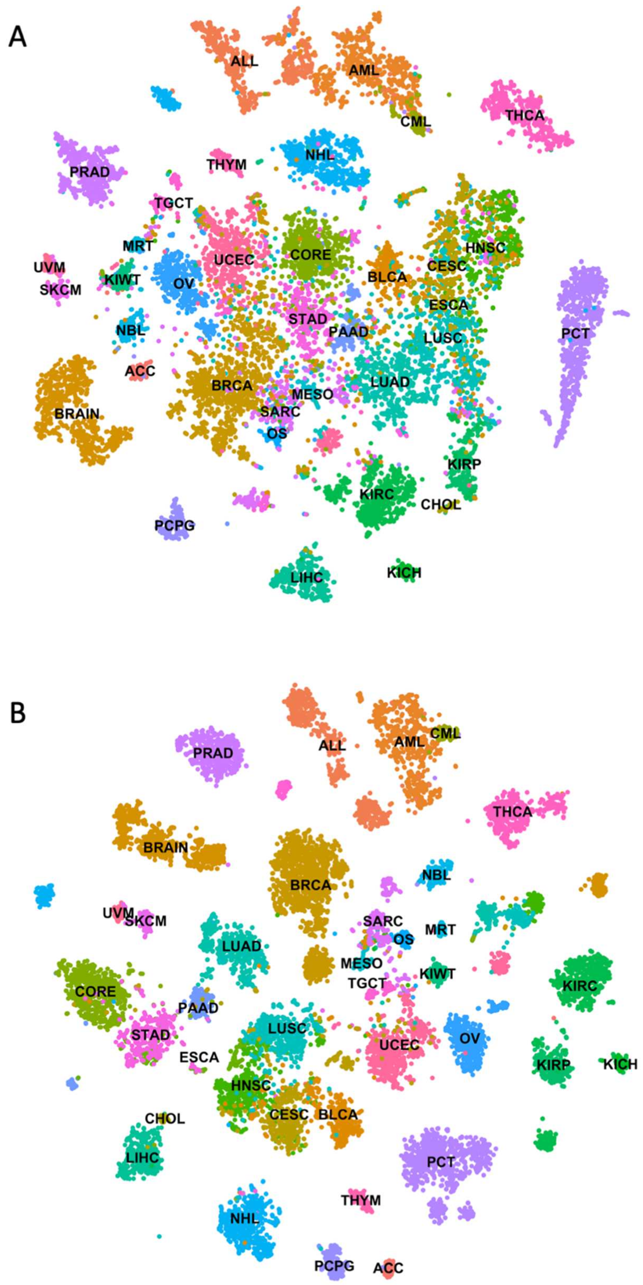Cancers 14 01185 g001