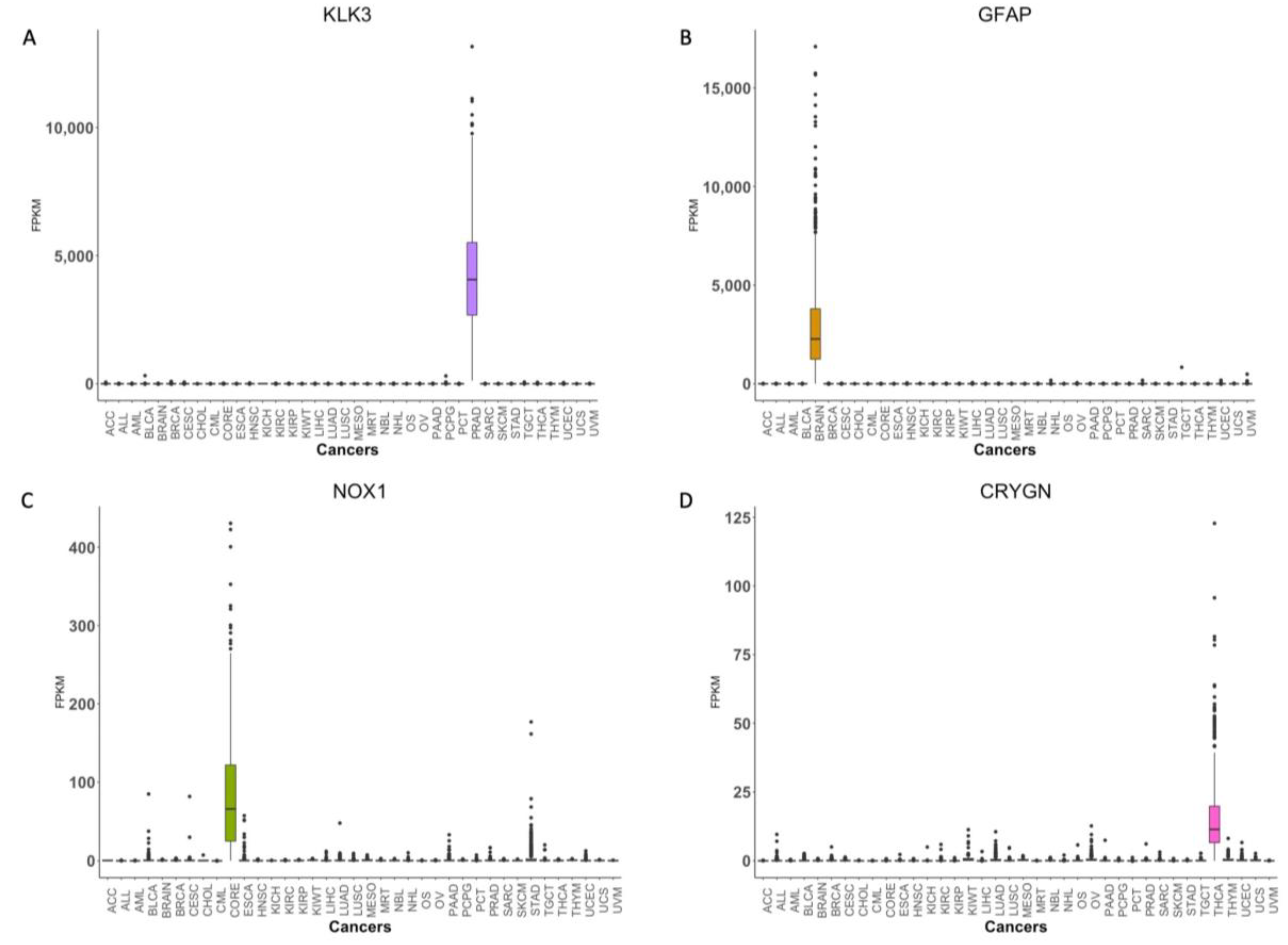 Cancers 14 01185 g006