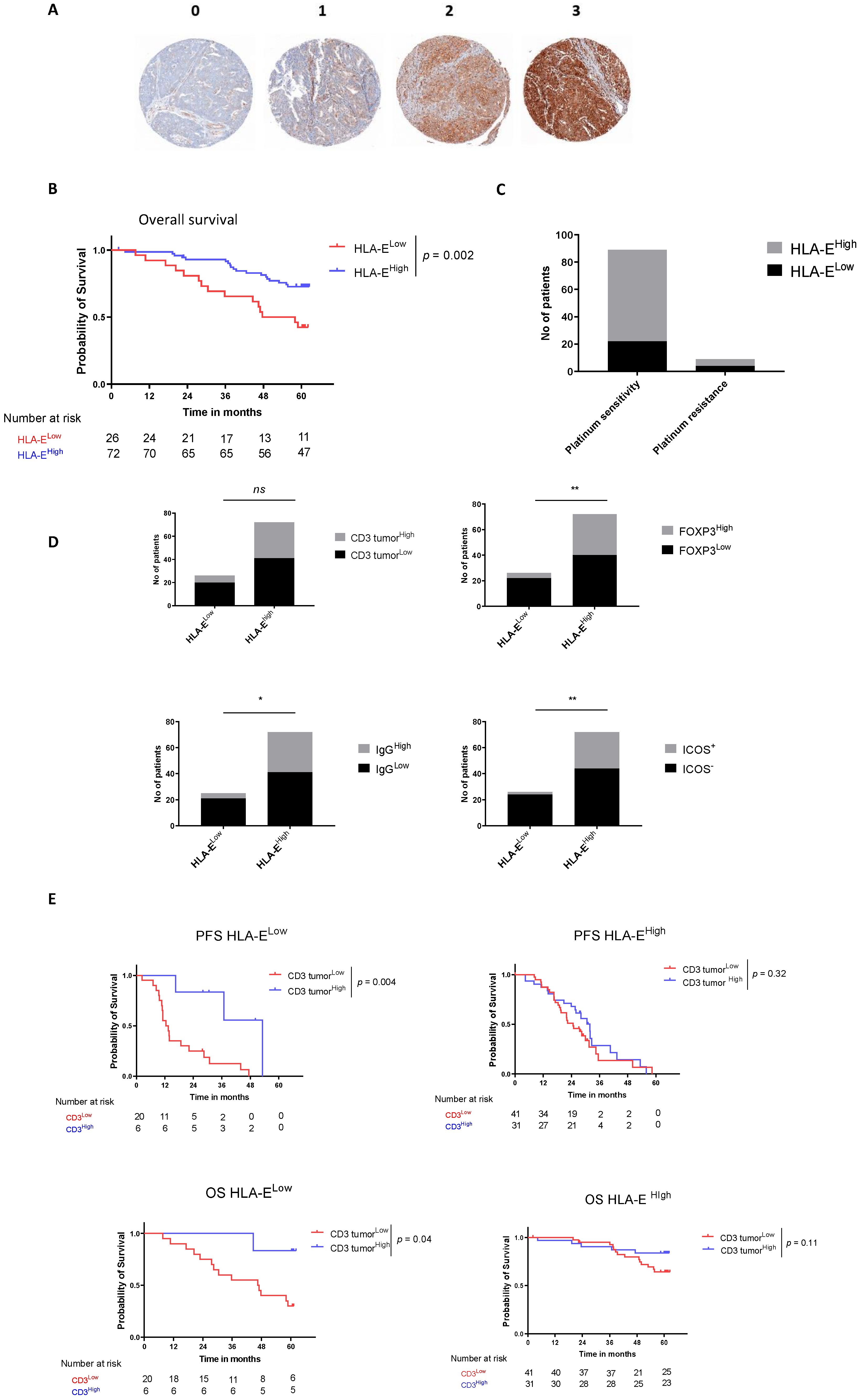 Cancers 14 01189 g002