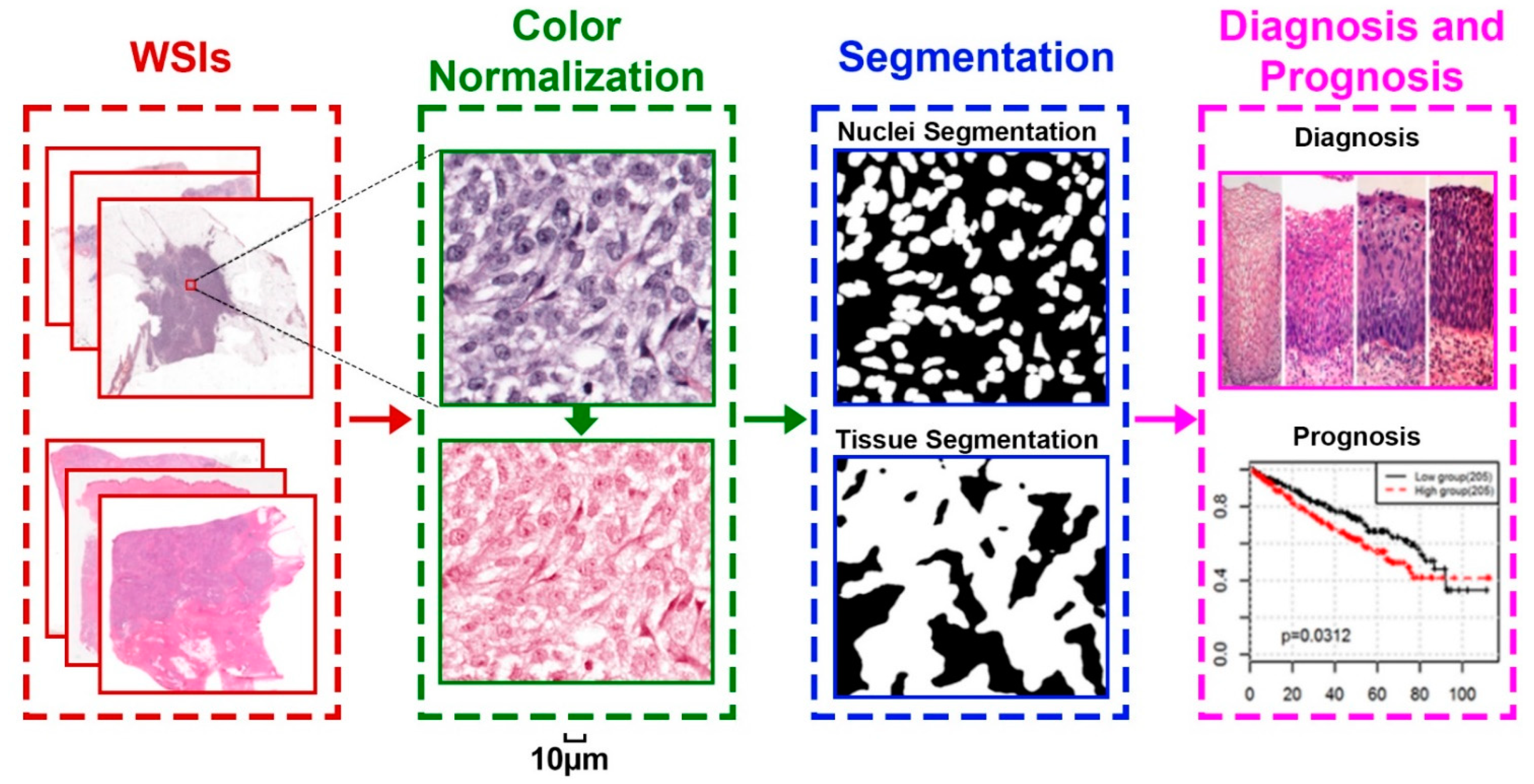 Recent Advances of Deep Learning for Computational Histopathology ...