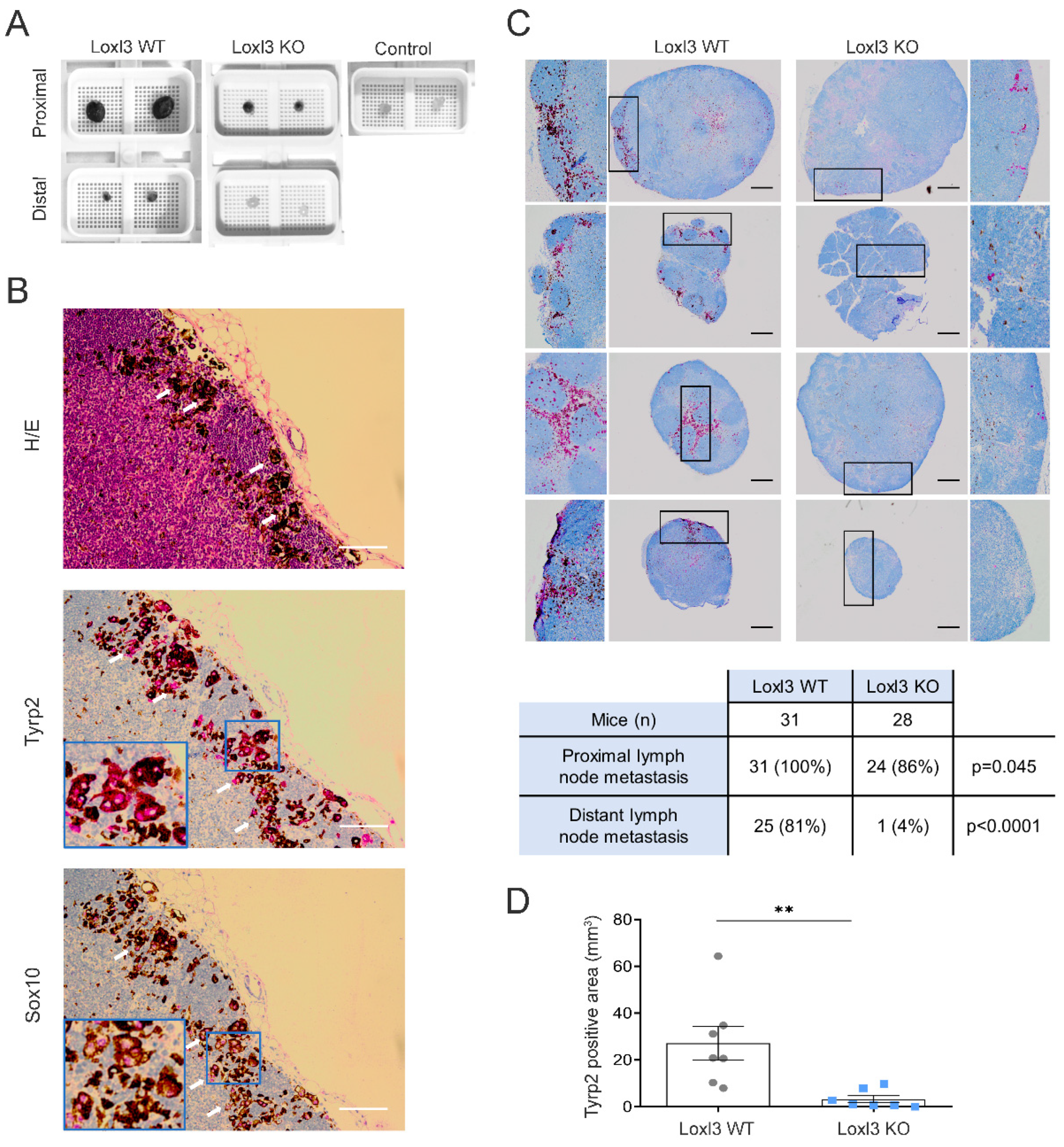 Cancers 14 01200 g003