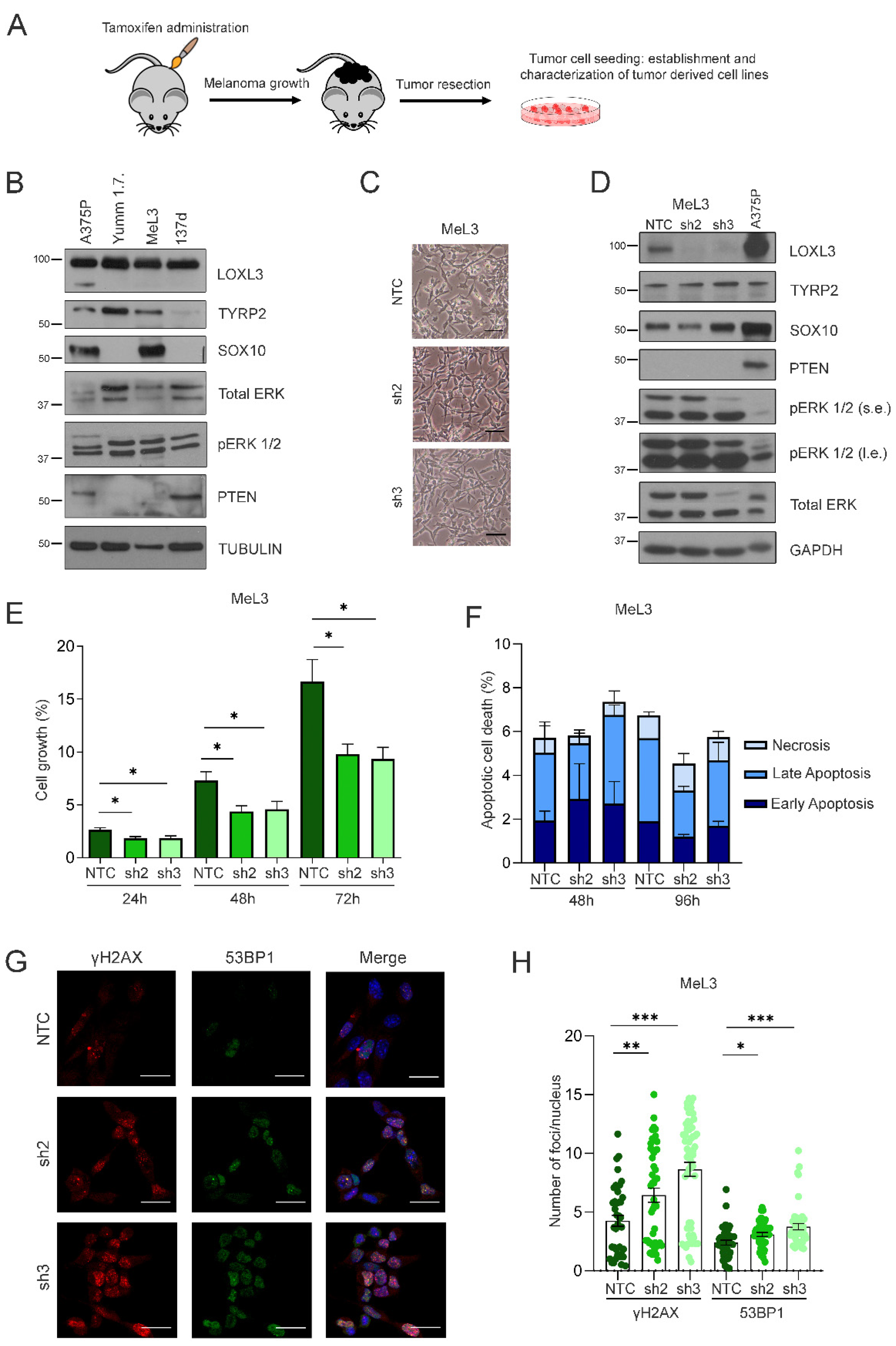 Cancers 14 01200 g004