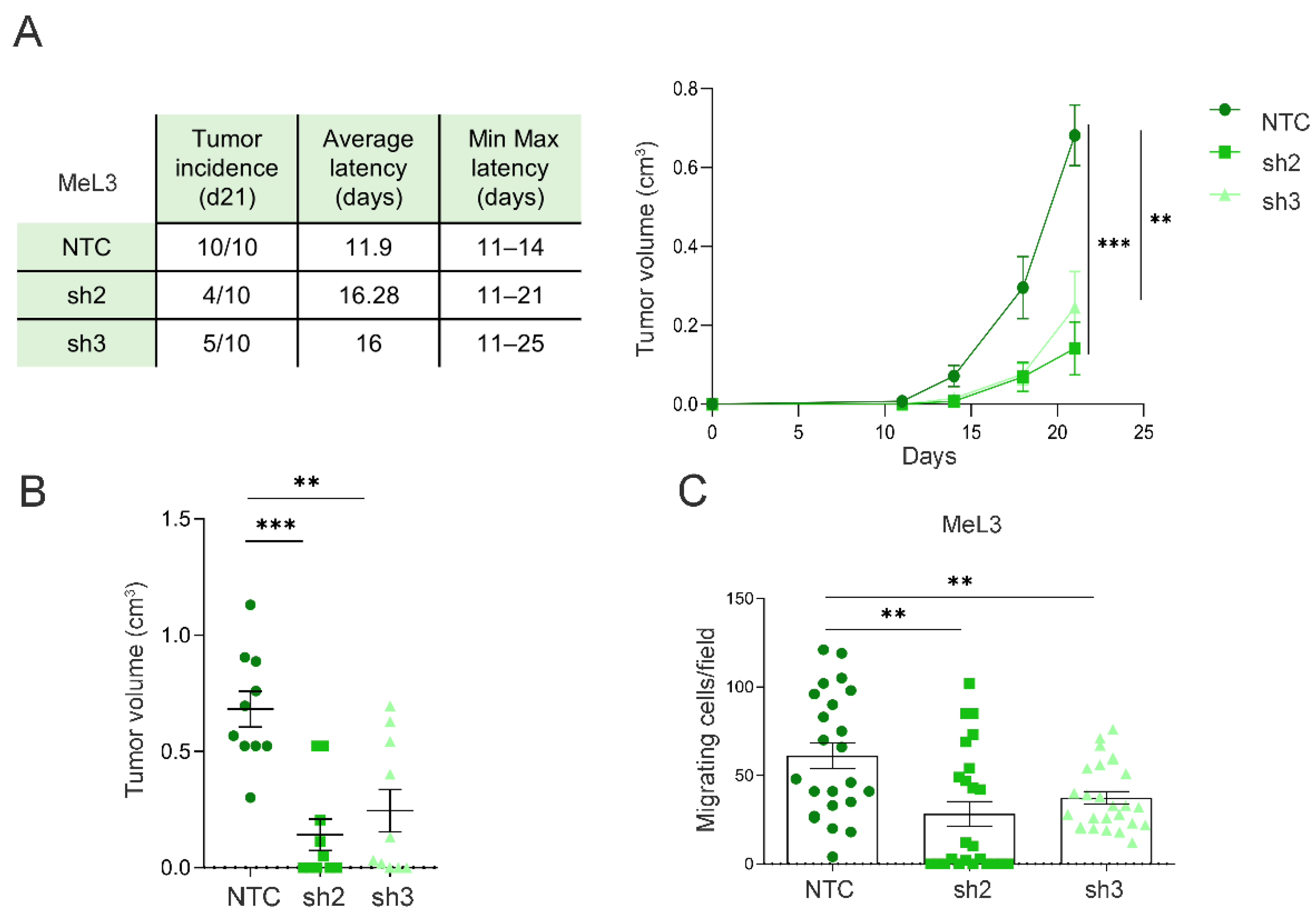 Cancers 14 01200 g005