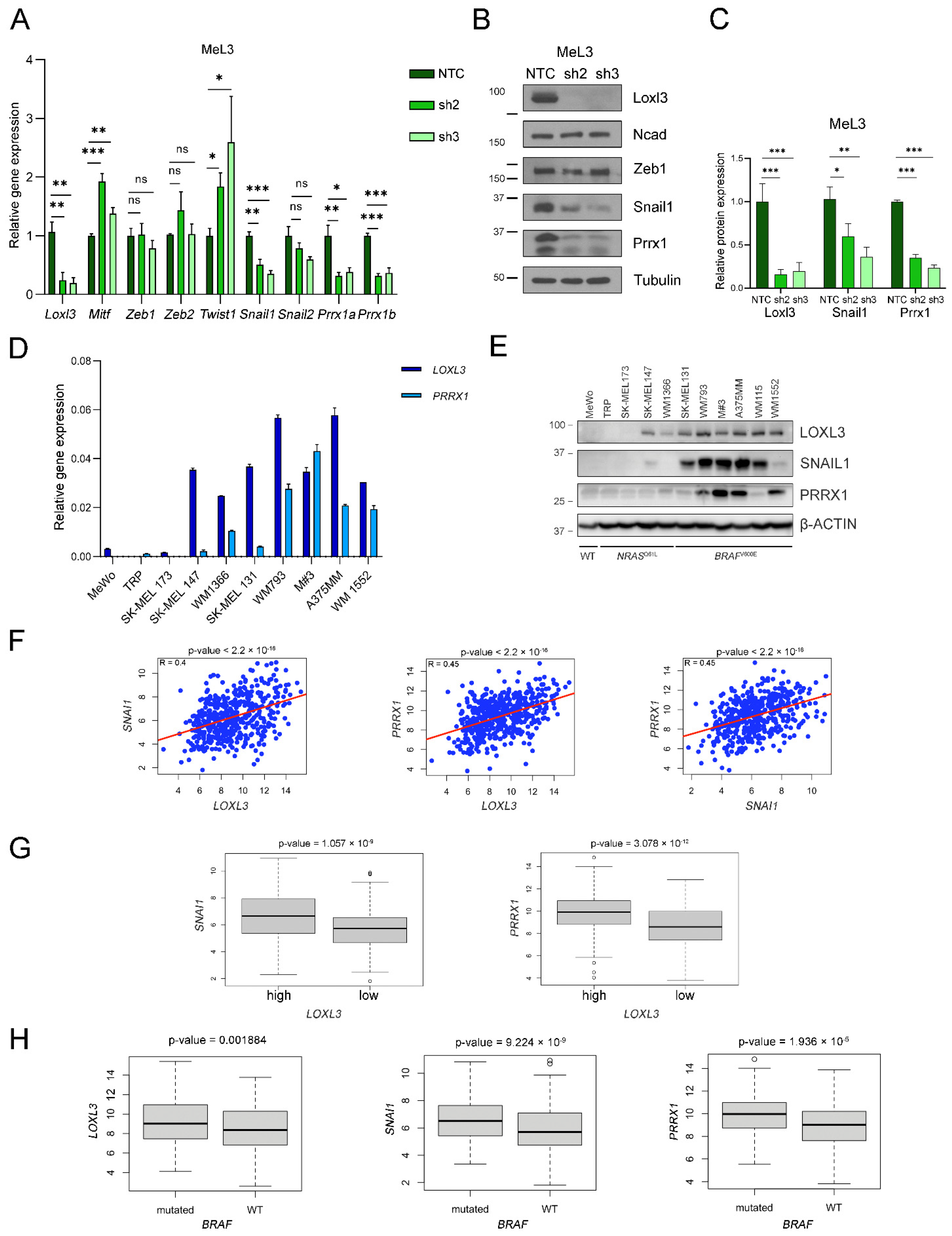Cancers 14 01200 g007