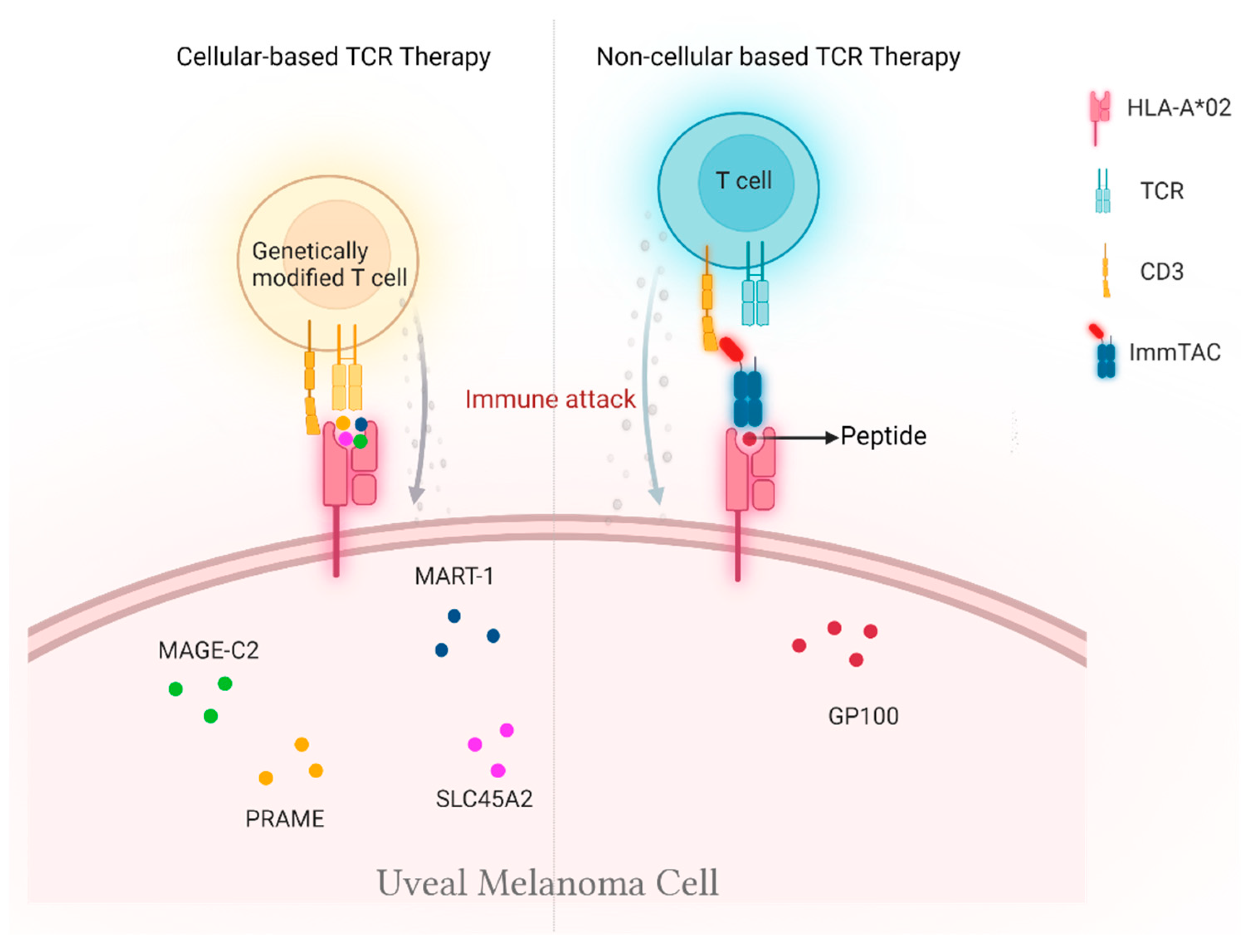 Cancers 14 01215 g002
