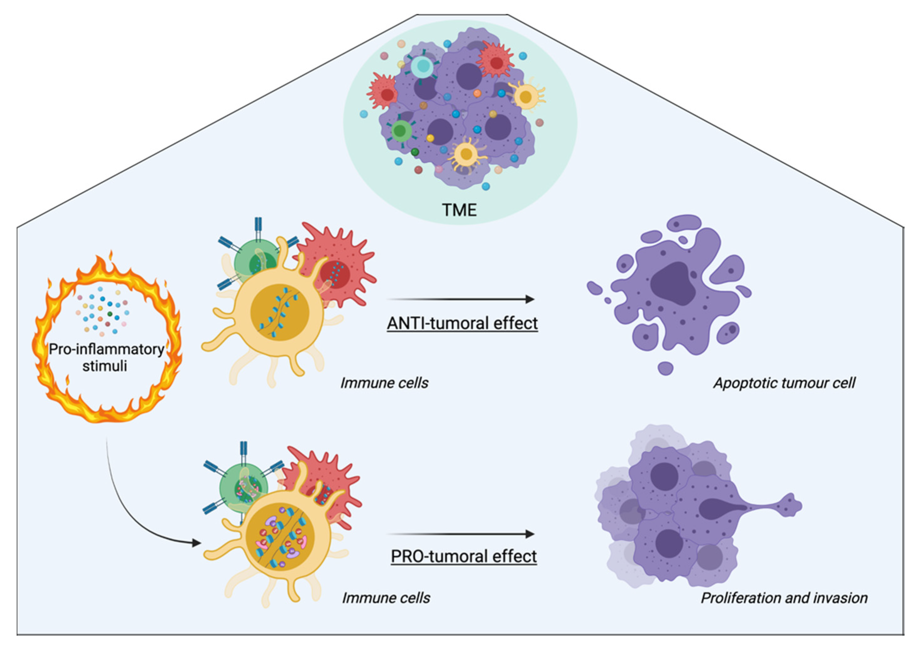 Cancers 14 01221 g003