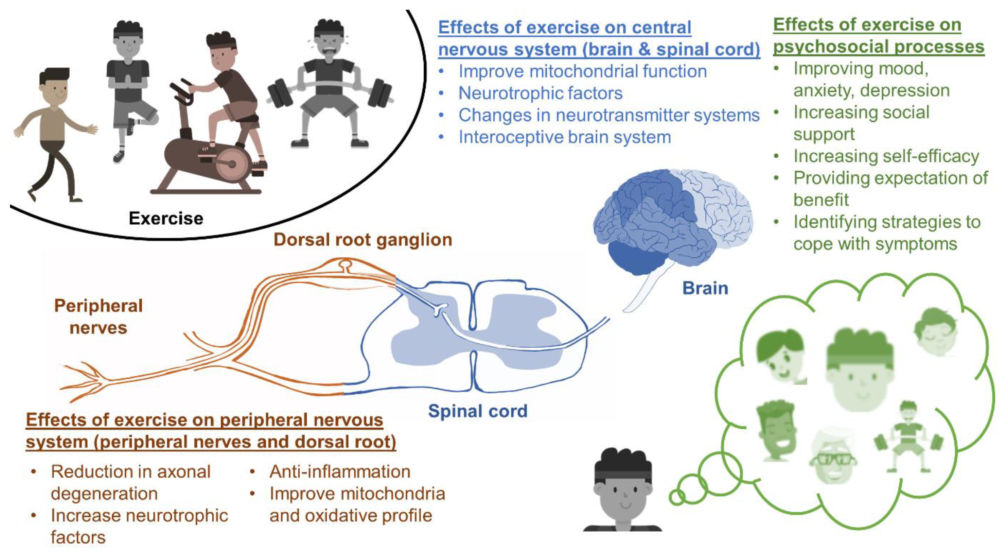 Cancers 14 01224 g002
