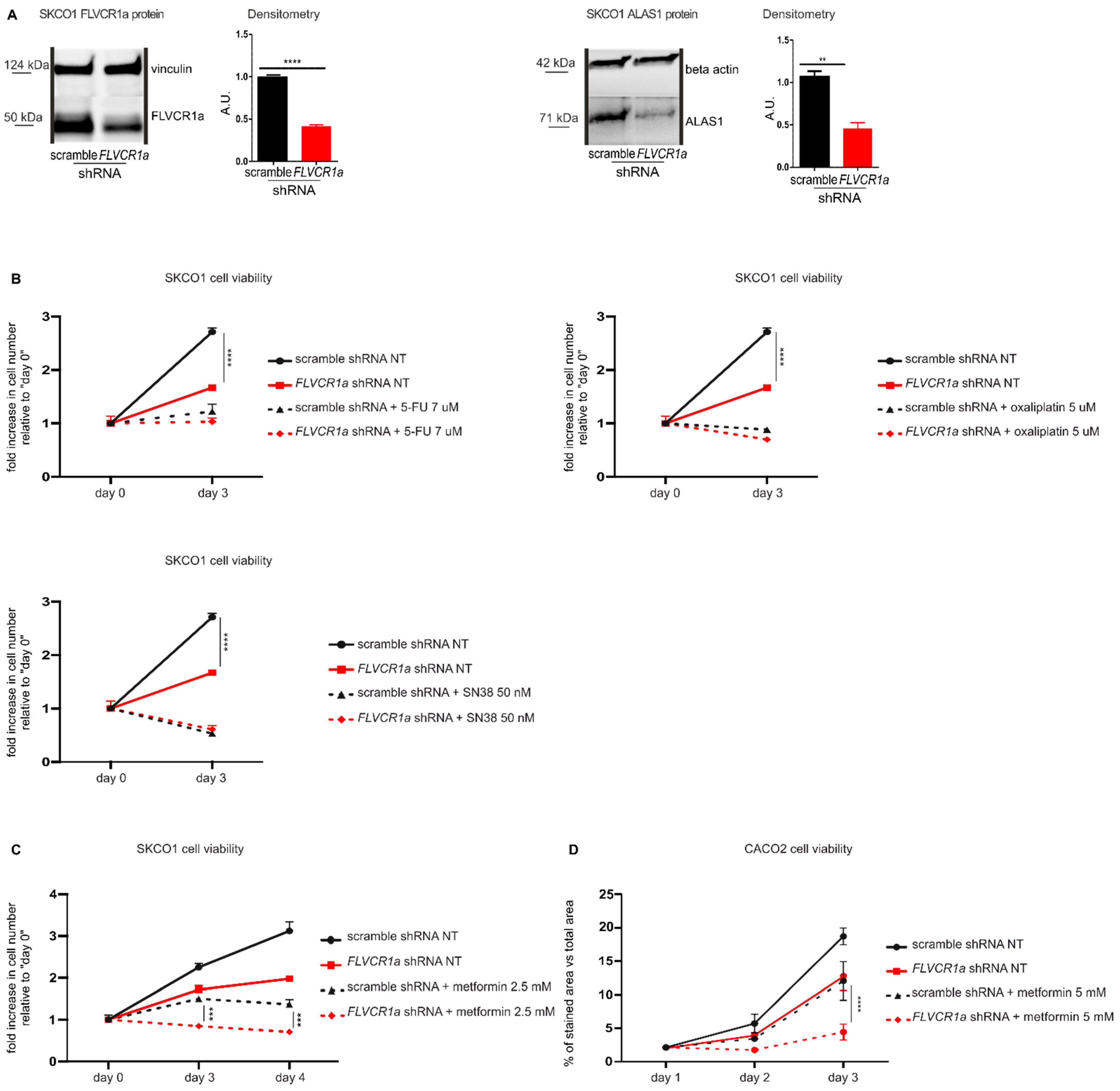 Cancers 14 01230 g001